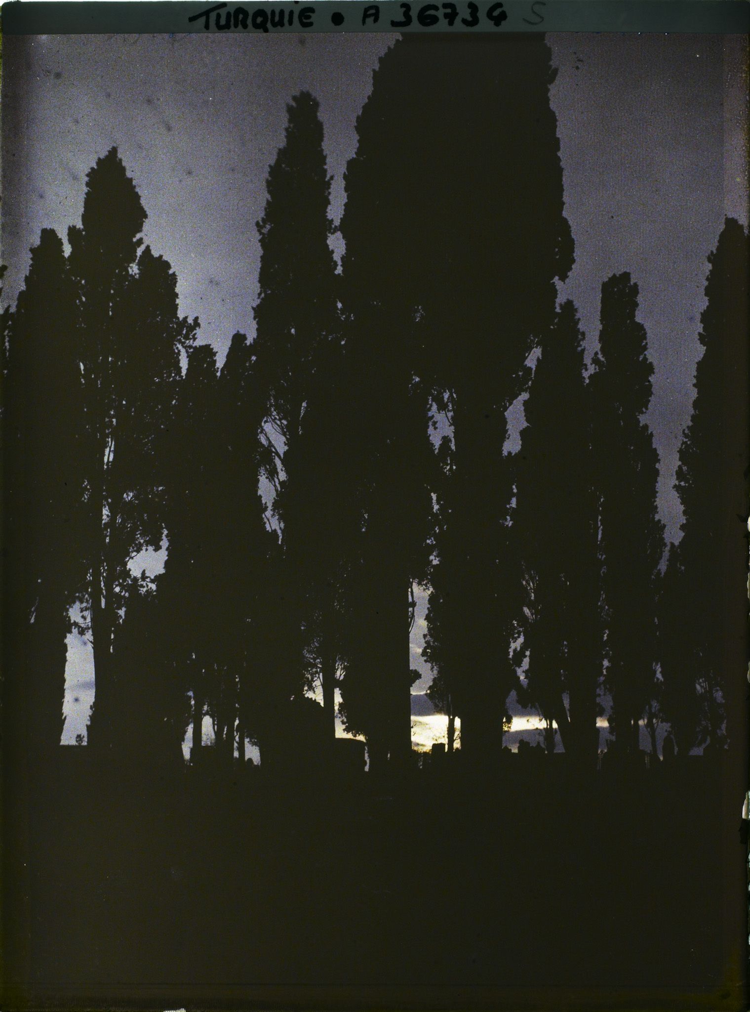 Image représentant Turquie, Scutari d'Asie, Cimetière, effet du Soir