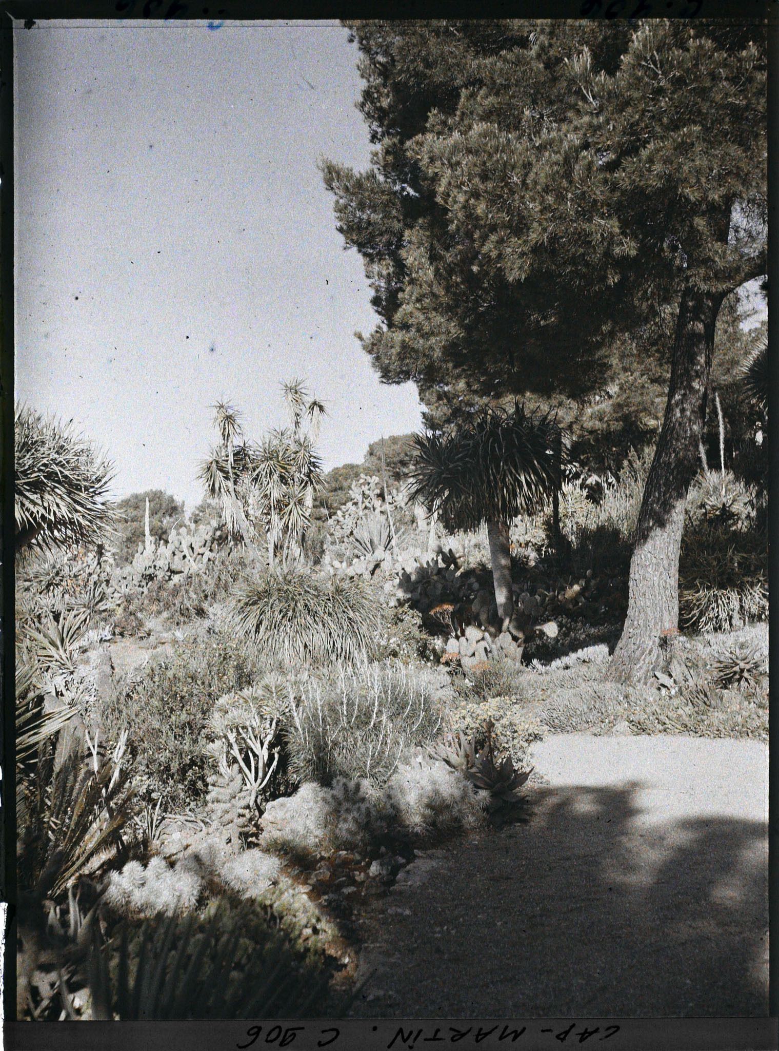 Image représentant Une allée du jardin