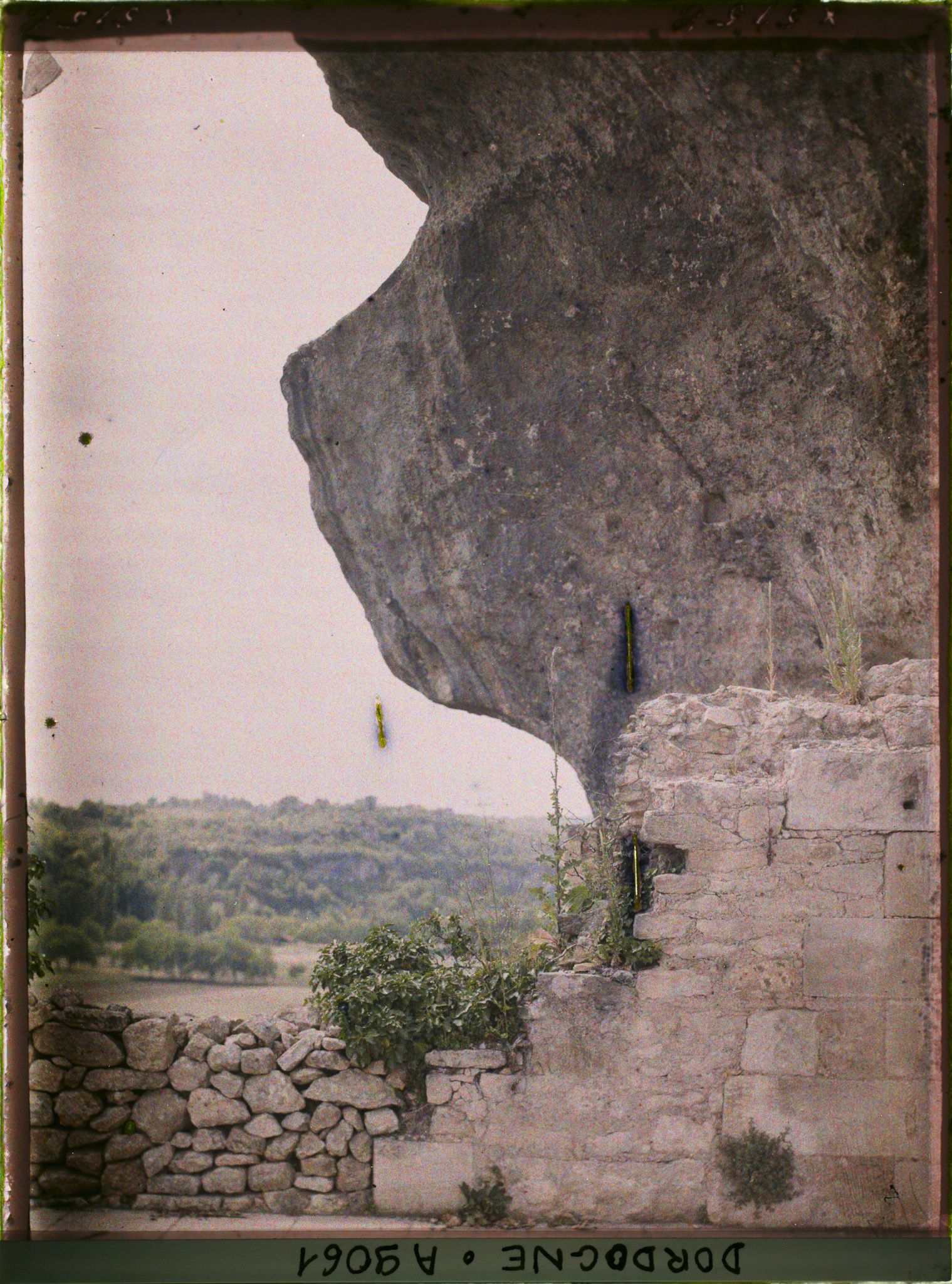 Image représentant France, Les Eyzies (Dordogne), Vue prise de la terrasse du Chau vers l'ouest avec le mur verdoyant de la terrasse au 1er plan à drte