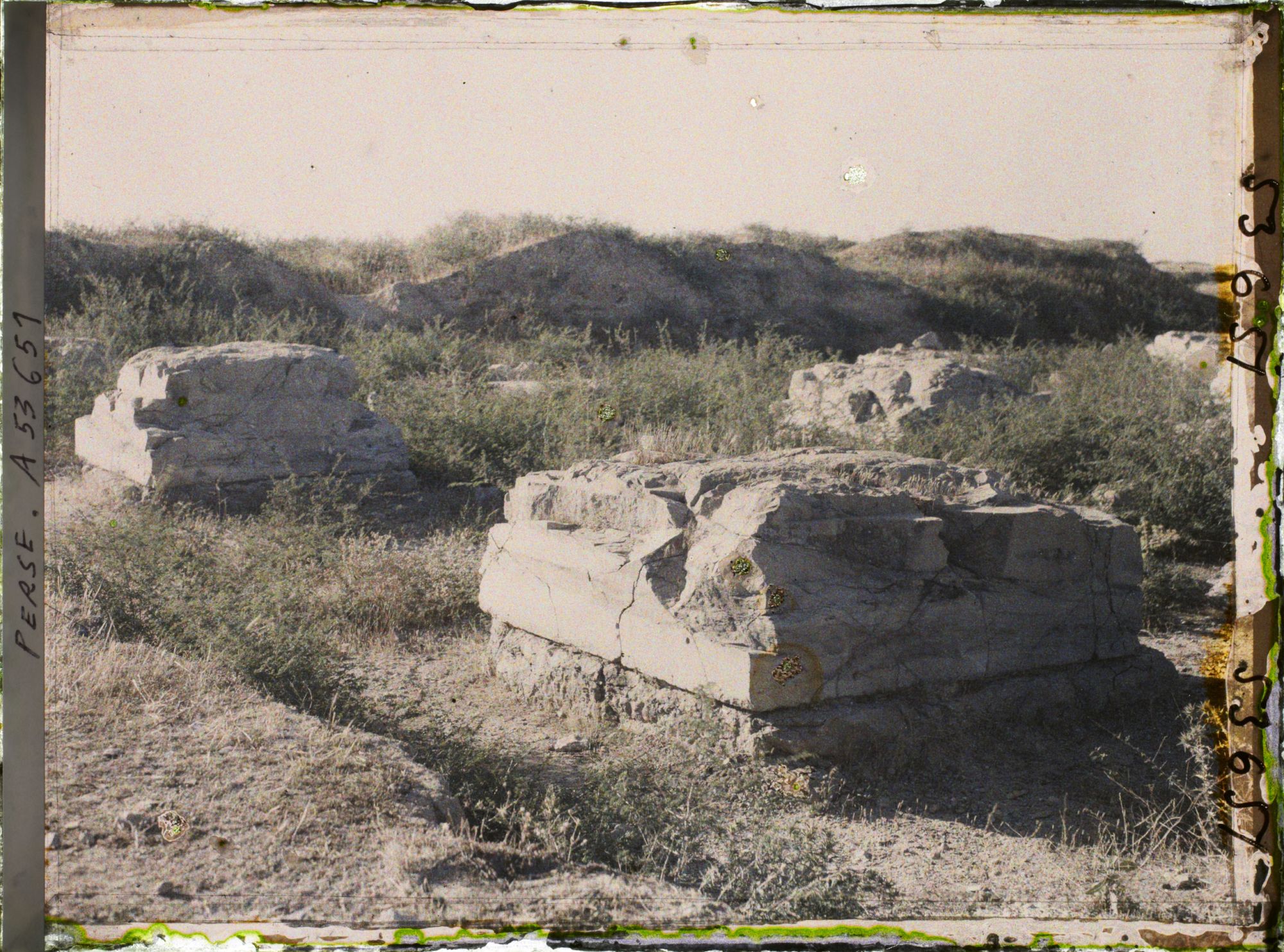Image représentant Bases de colonnes carrées (ruines de l'Apadana ?)