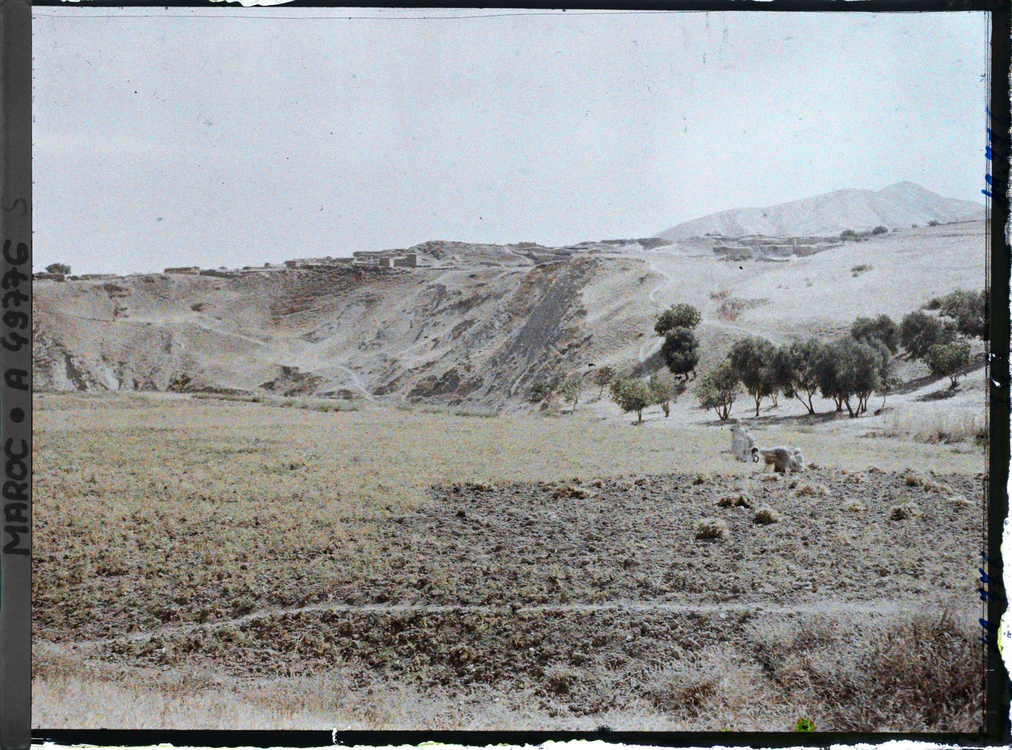 Image représentant Vue de la ville prise depuis la route de Taza en direction du nord-est