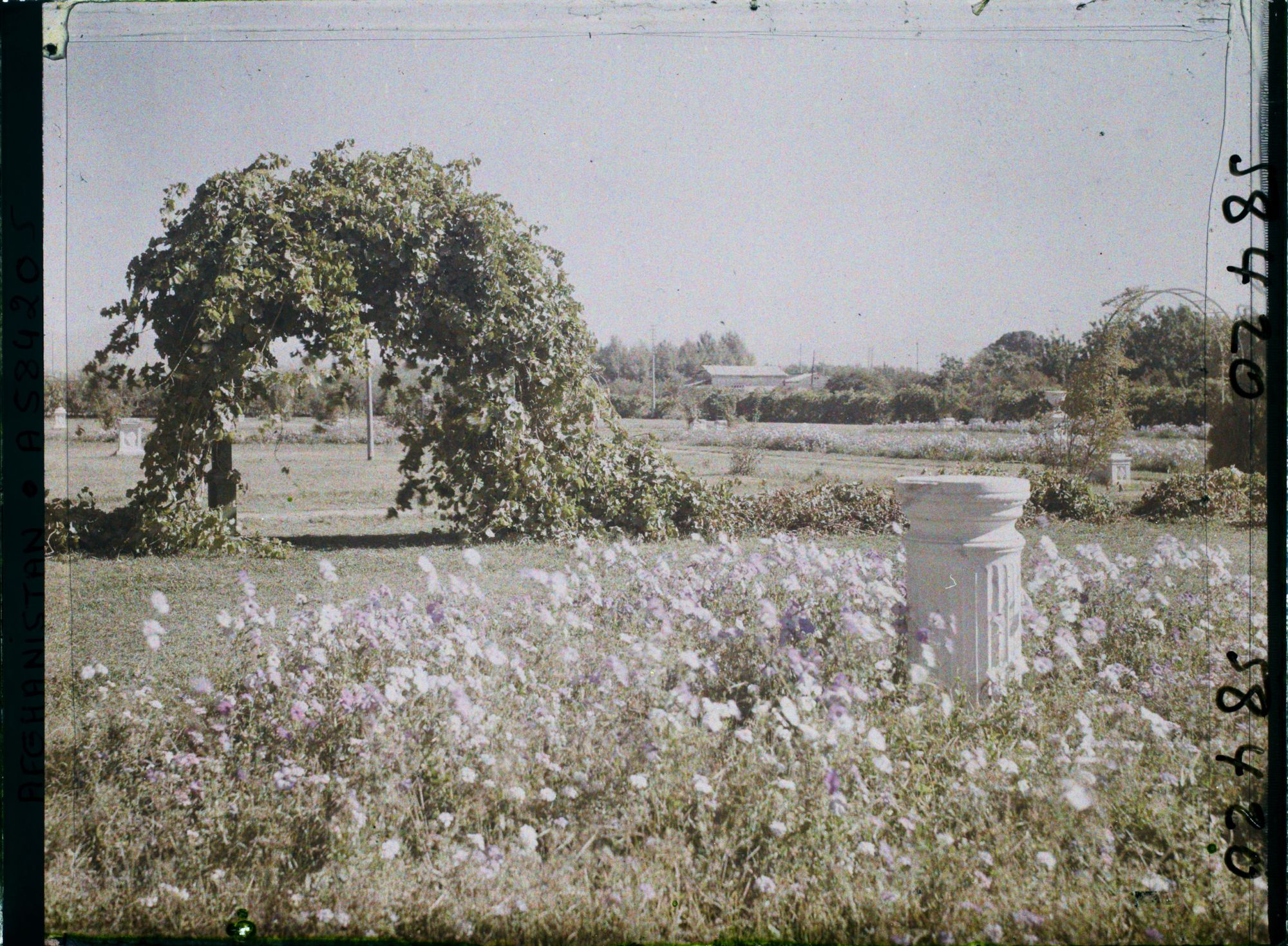 Image représentant Afghanistan, Kaboul, Un coin du Jardin des affaires Etrangères