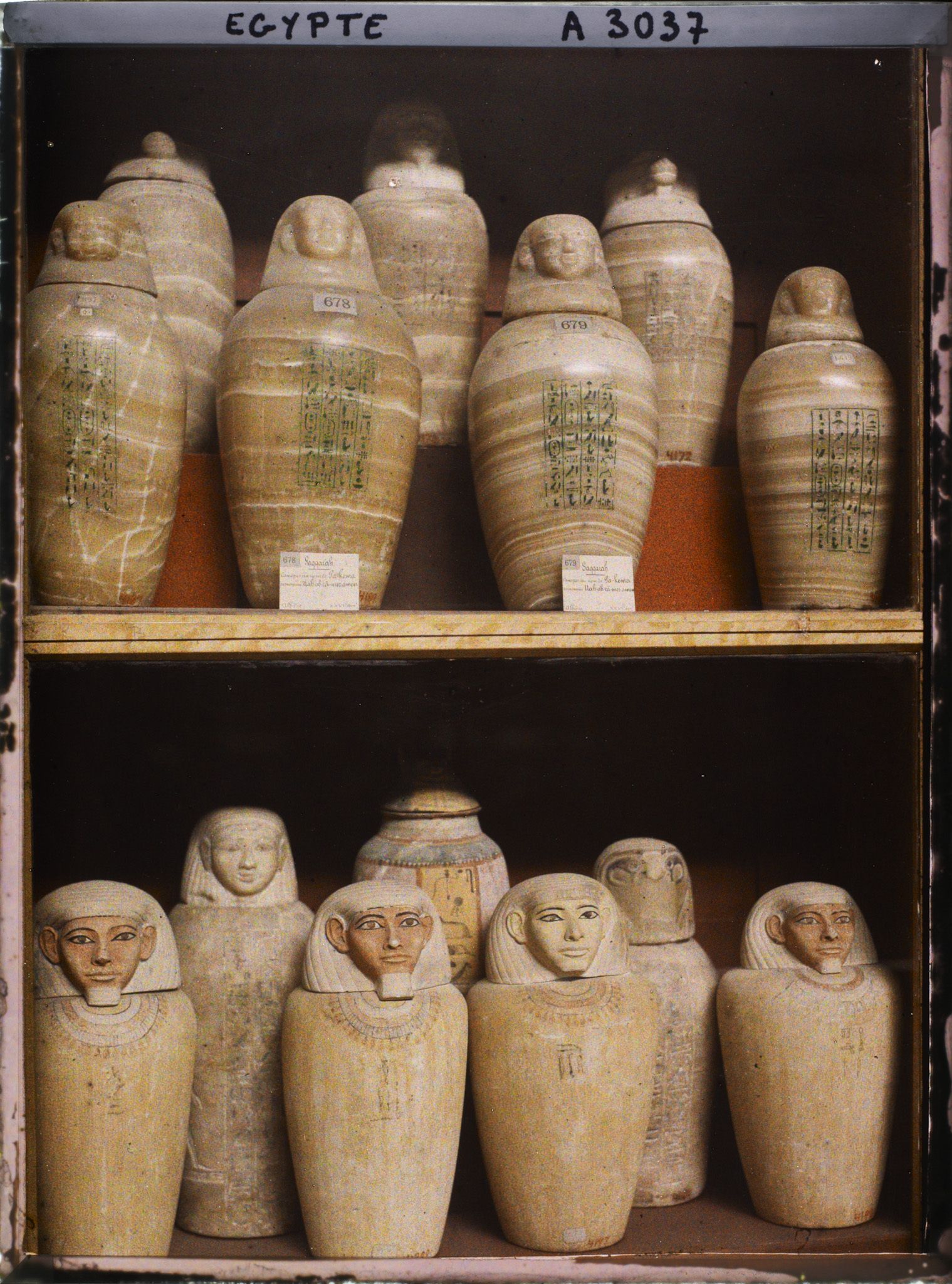 Image représentant Vases canopes