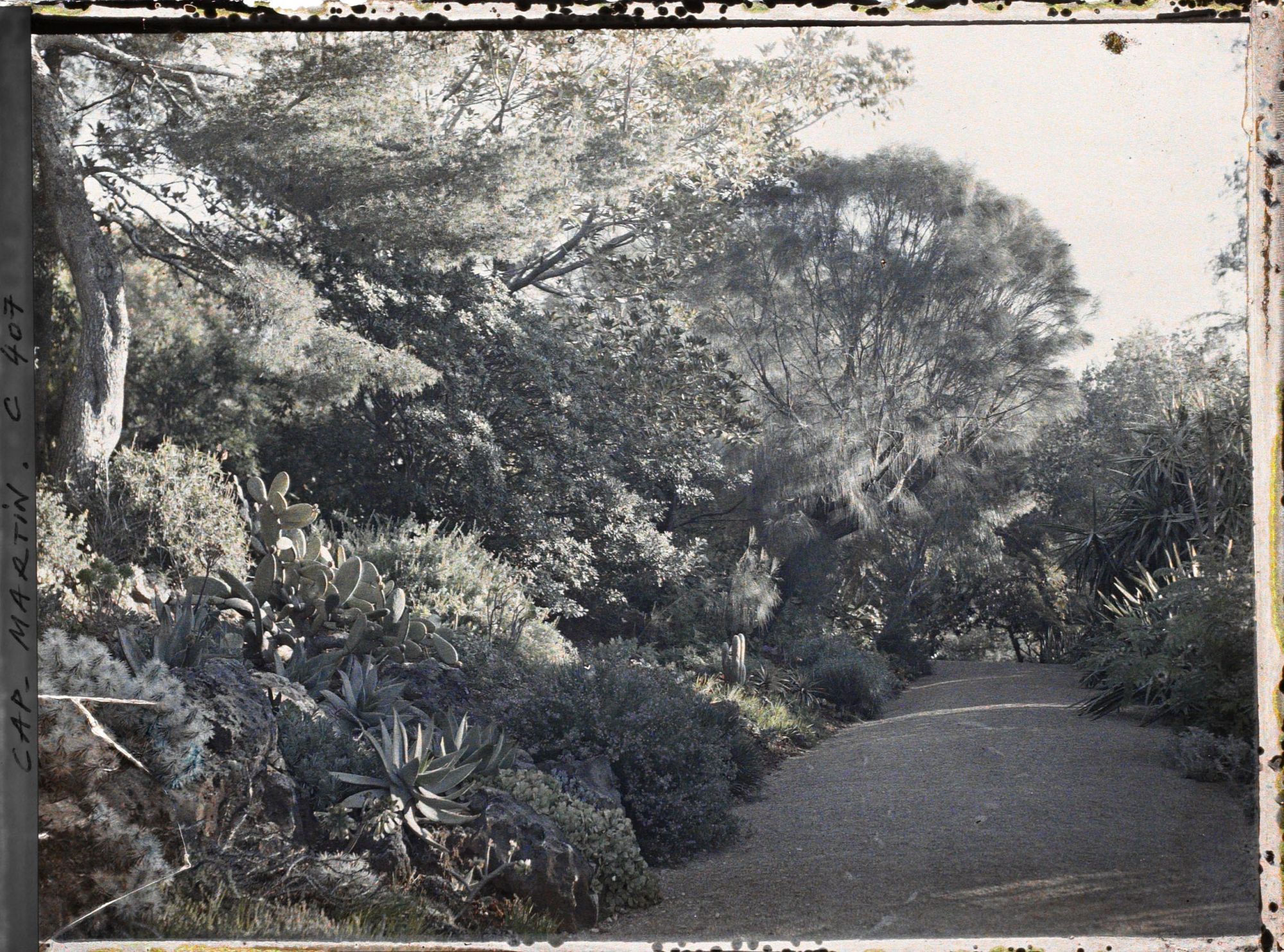 Image représentant Une allée du jardin
