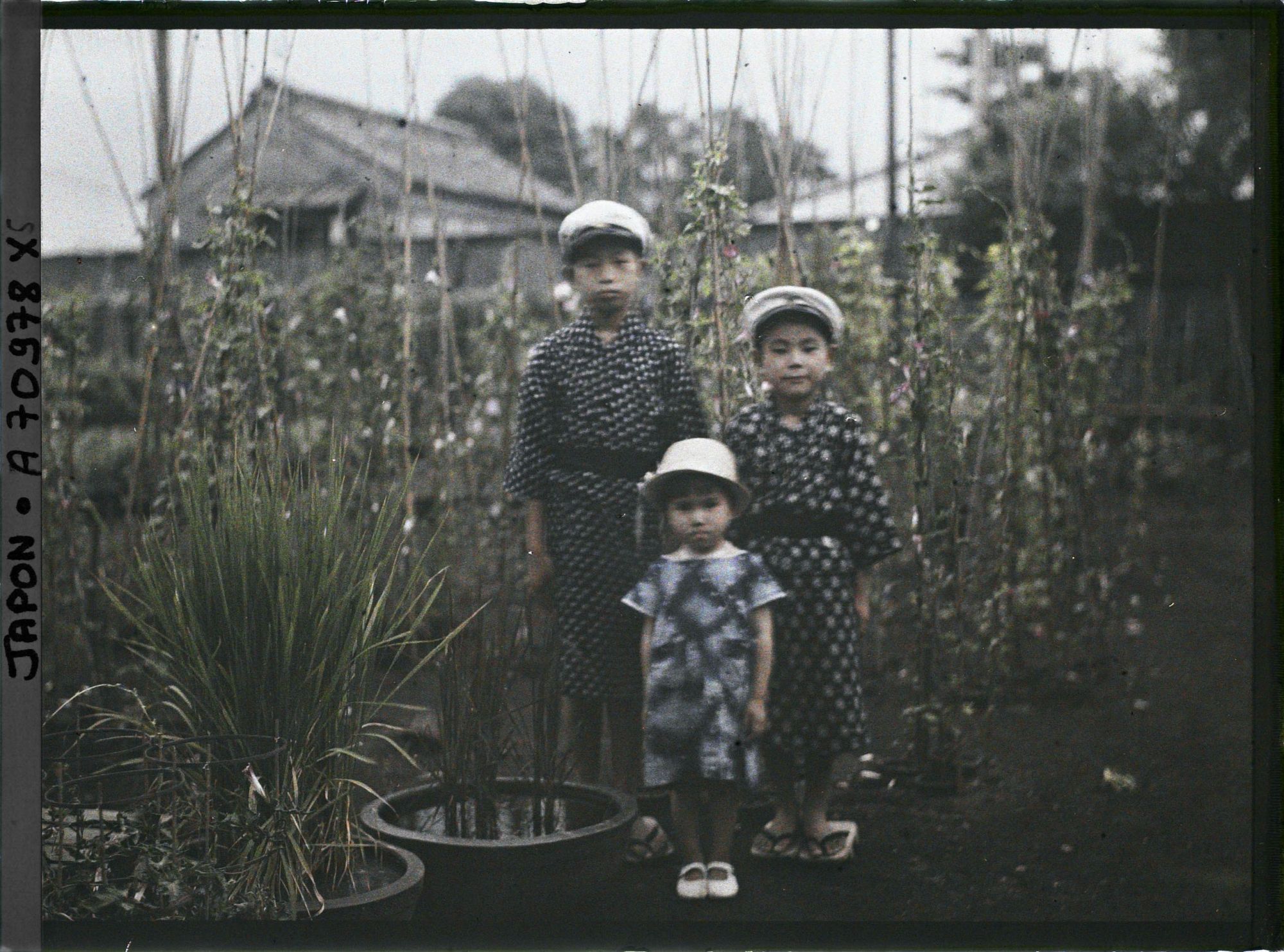 Image représentant Pépinière privée (?)