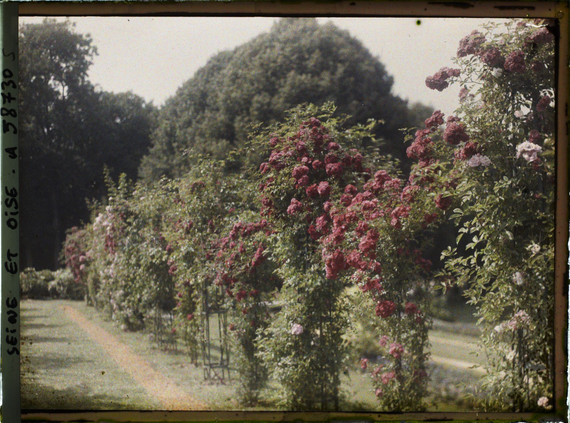 Image représentant Propriété de madame Douine
