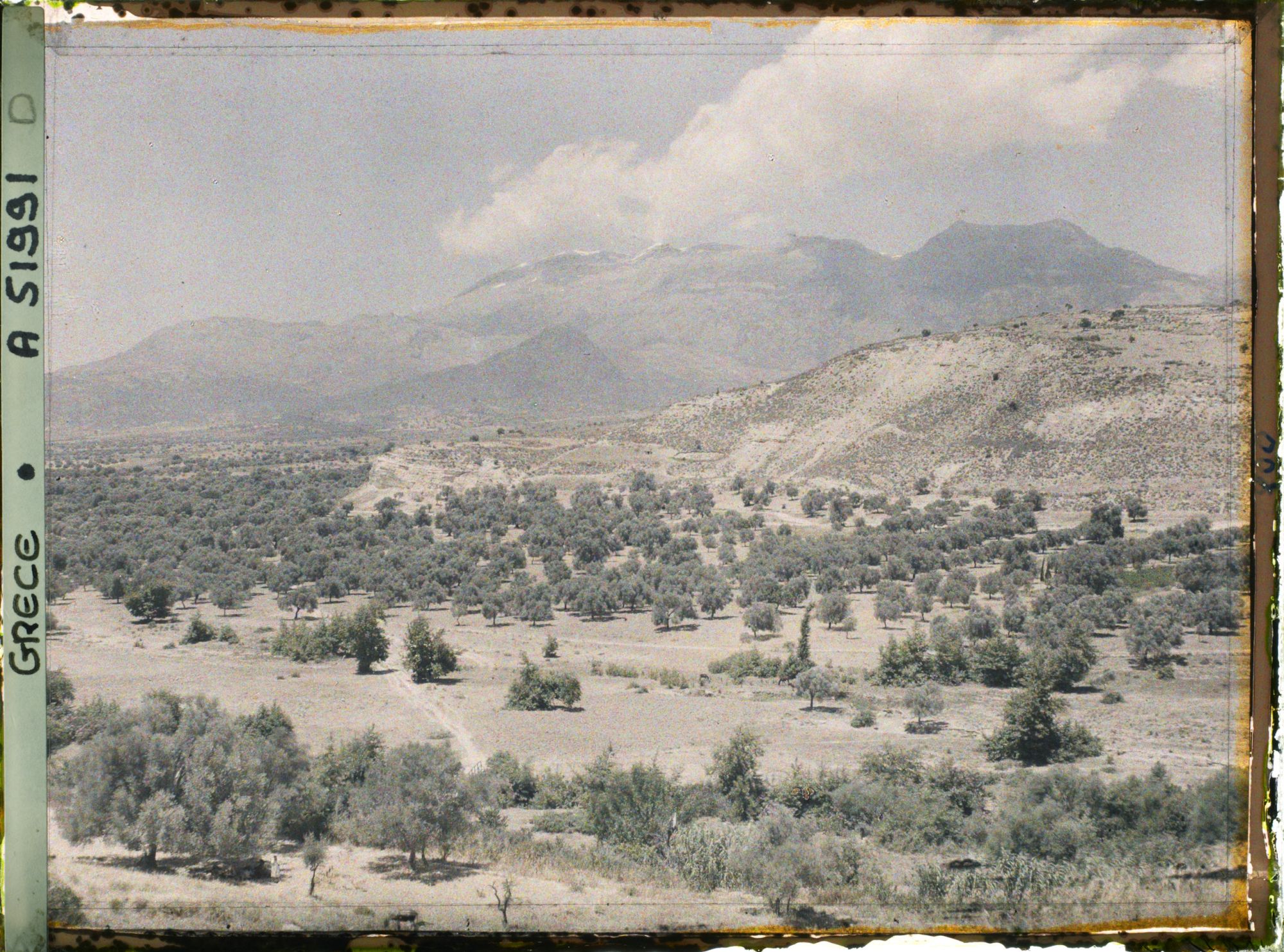 Image représentant La plaine de Messara et le mont Ida