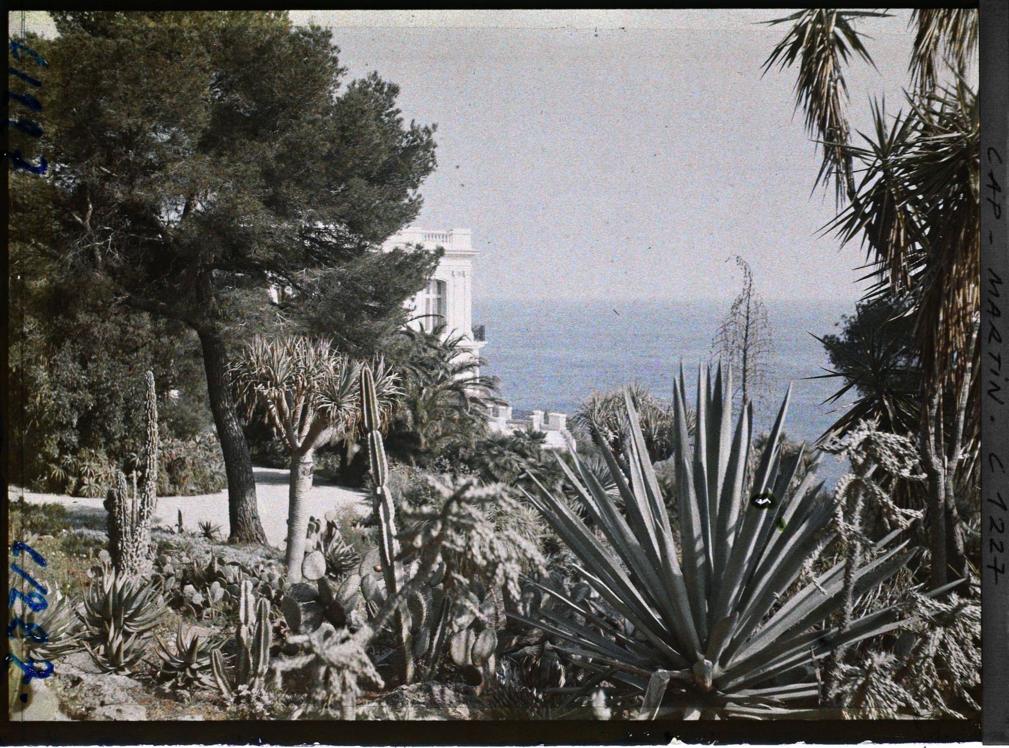 Image représentant le Jardin