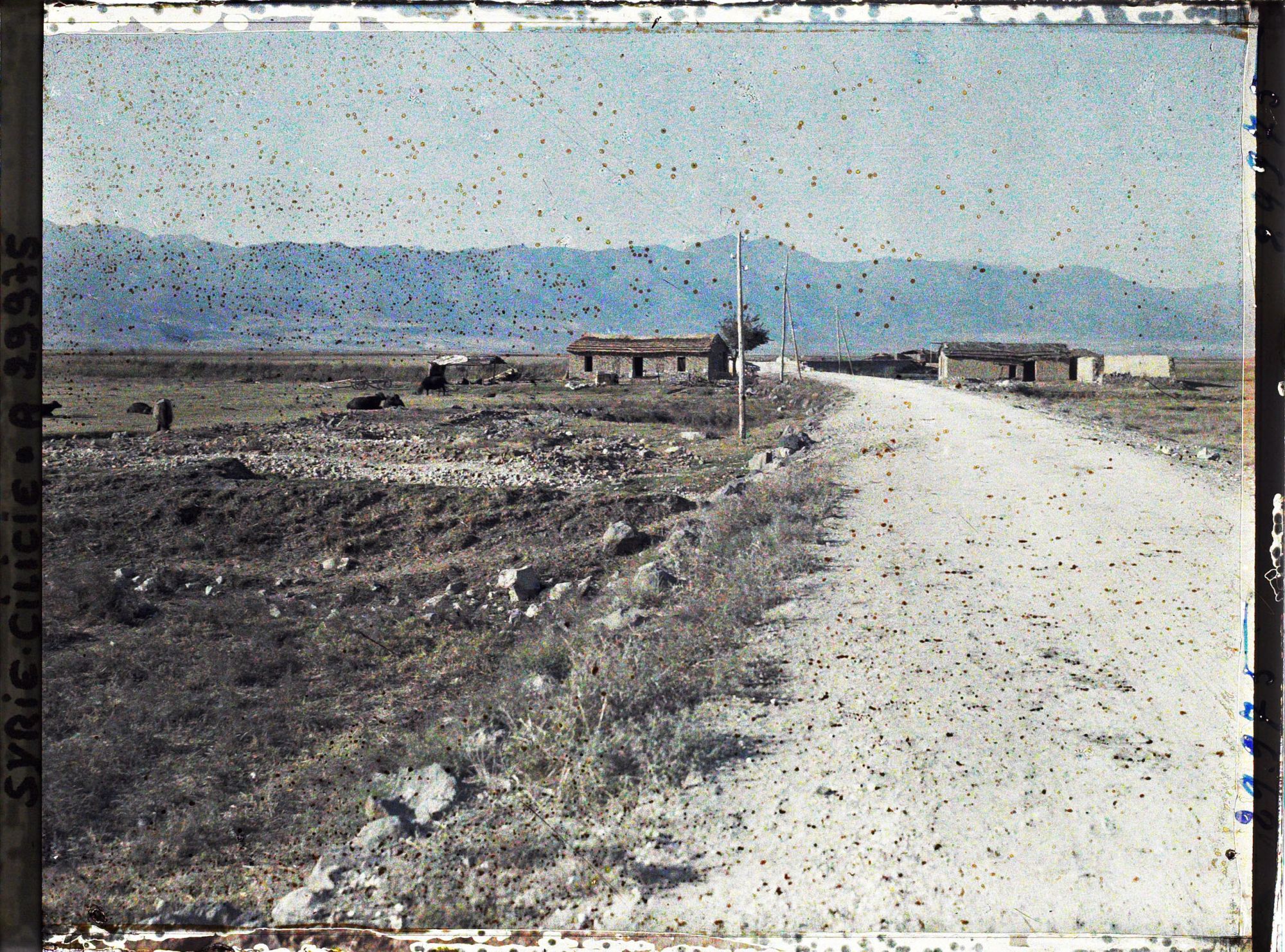 Image représentant Le village de Mourad Pacha et au fond le Jibal Al Amanos (Monts Amanus)