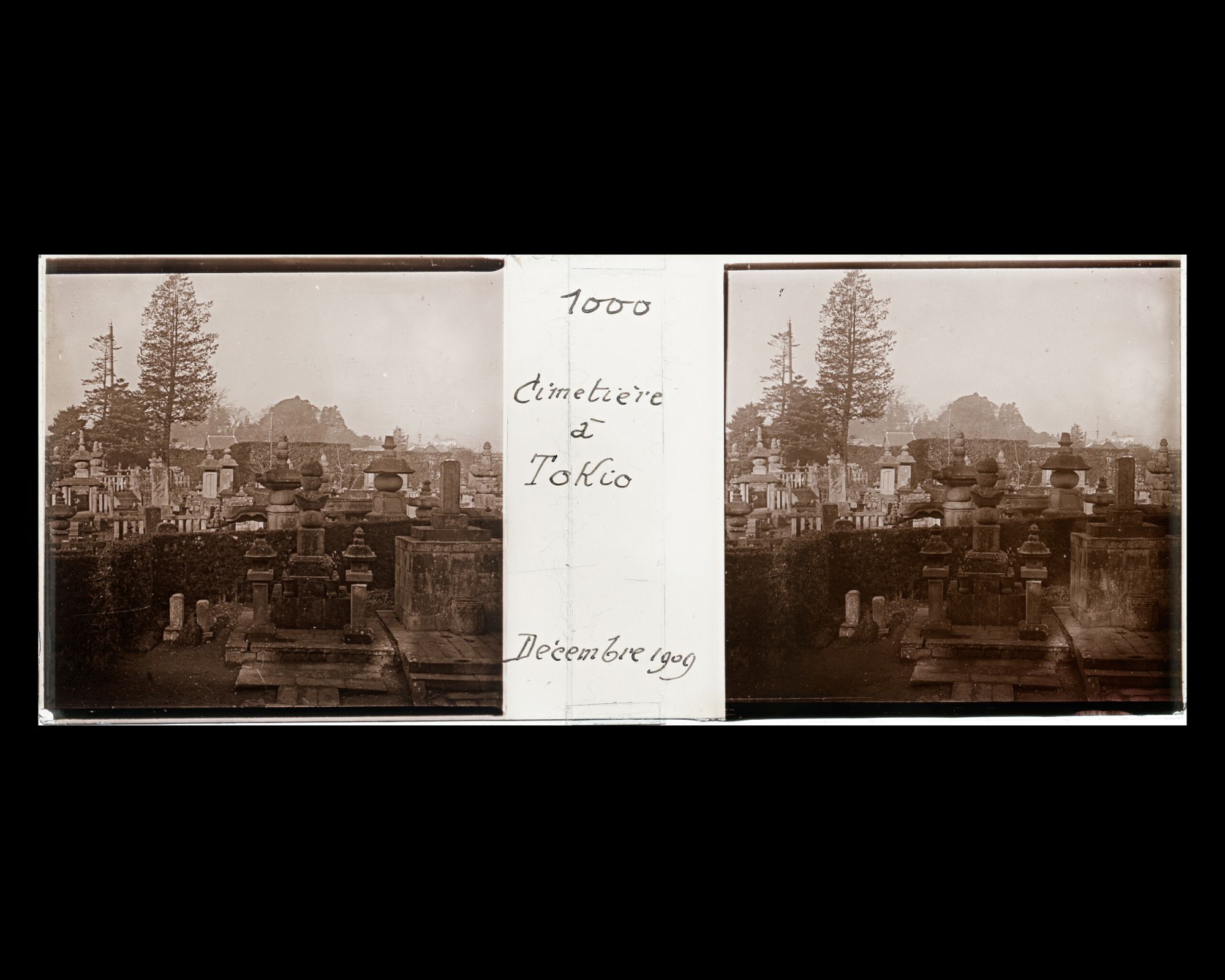 Image représentant Vue d'un cimetière