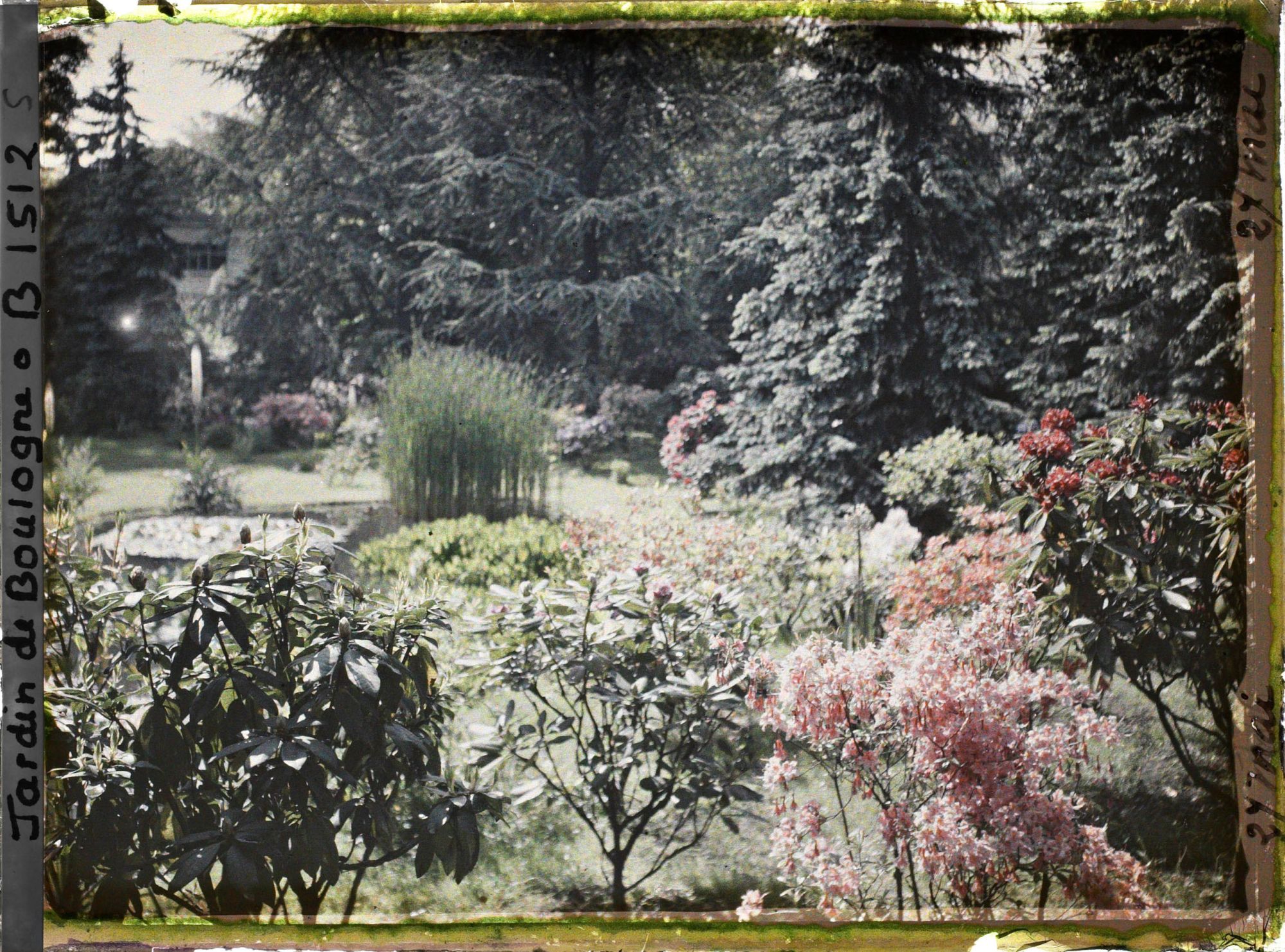 Image représentant Le marais