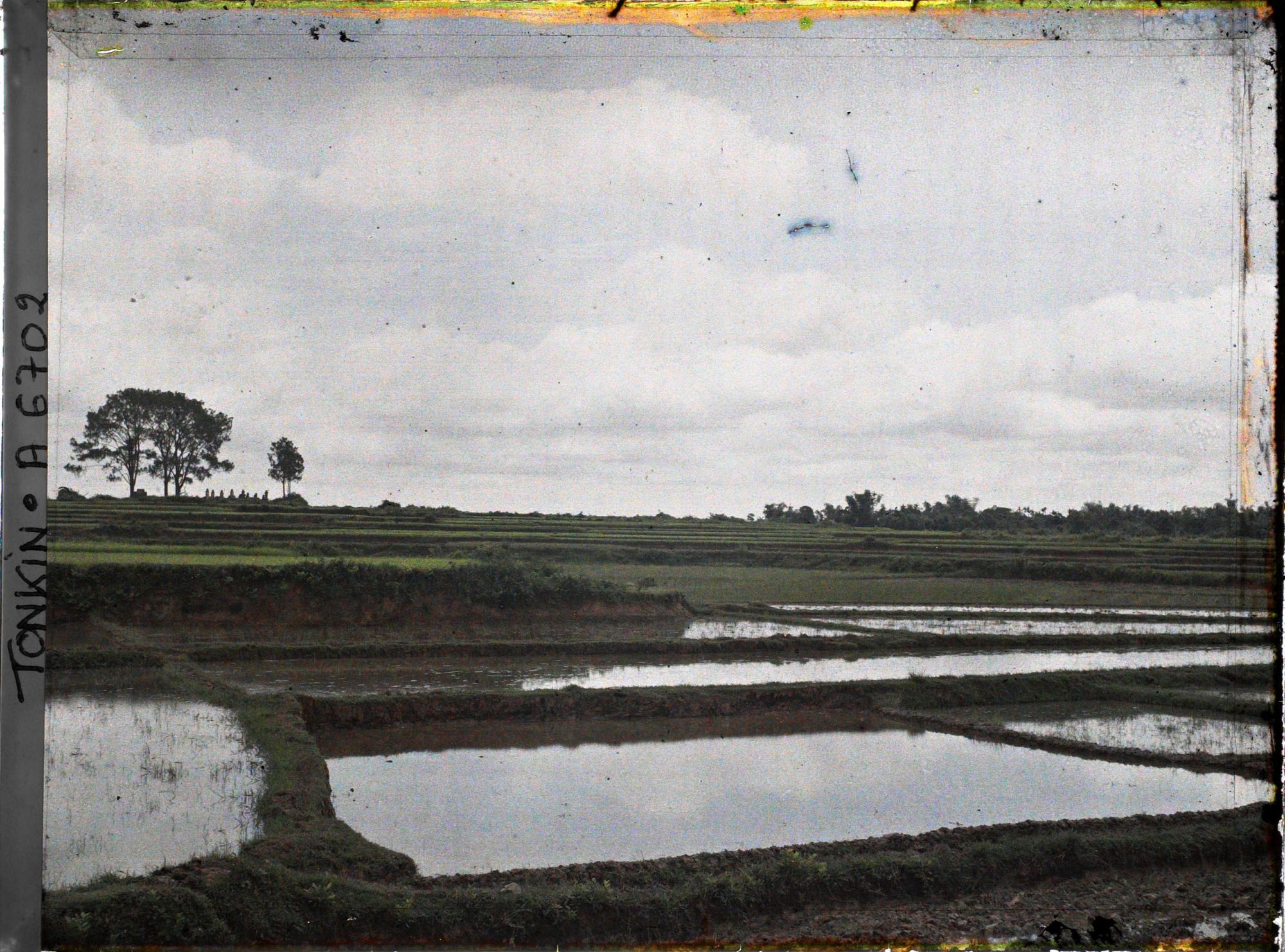 Image représentant Des rizières étagées aux abords du village