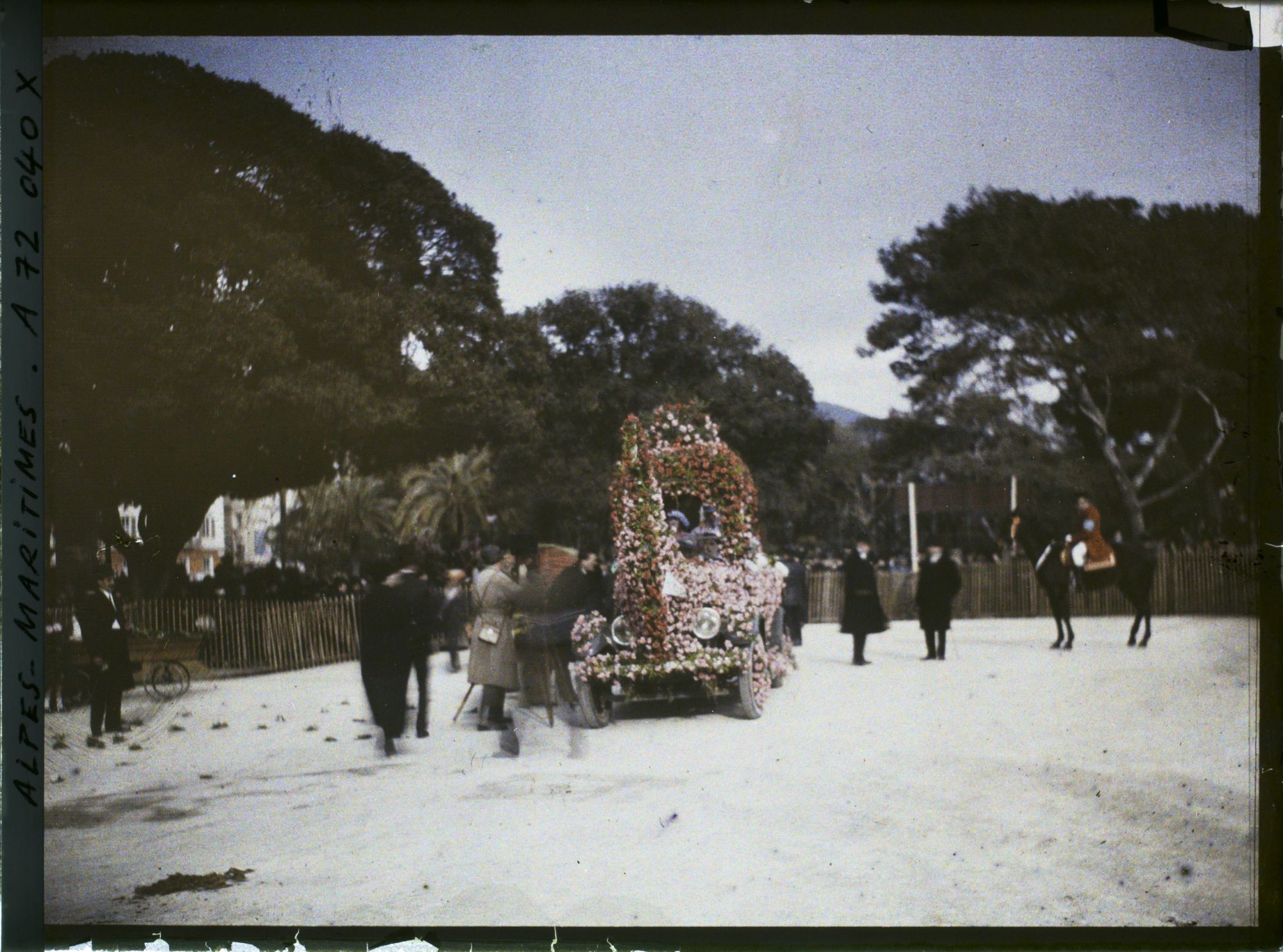 Image représentant Le carnaval, la fête des fleurs