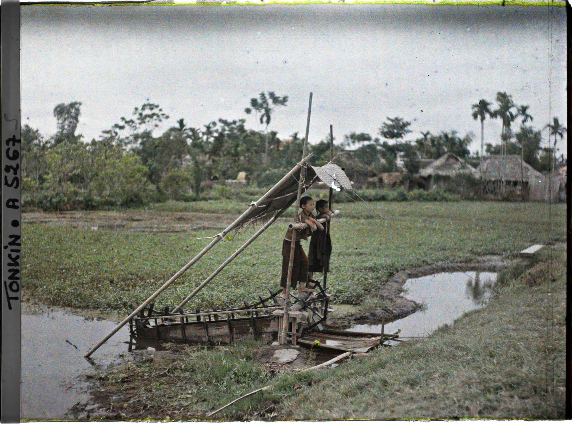 Image représentant Des enfants utilisant une machine à pied, système élévatoire d'eau pour l'irrigation du riz