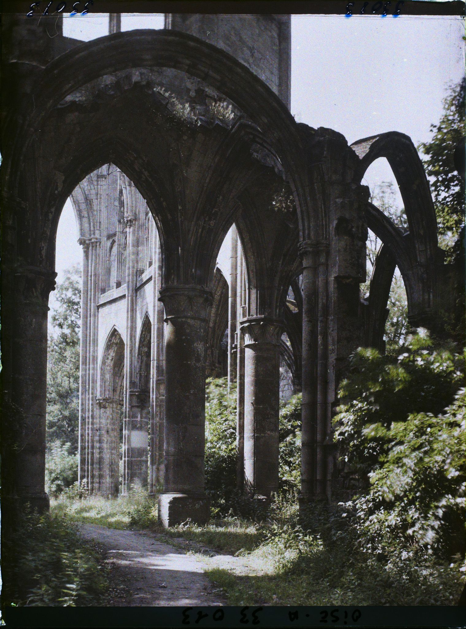 Image représentant France, Ourscamp, Ruines de l'Abbaye d'Ourscamps :  Effet de lumière sur les ruines de l'Abside
