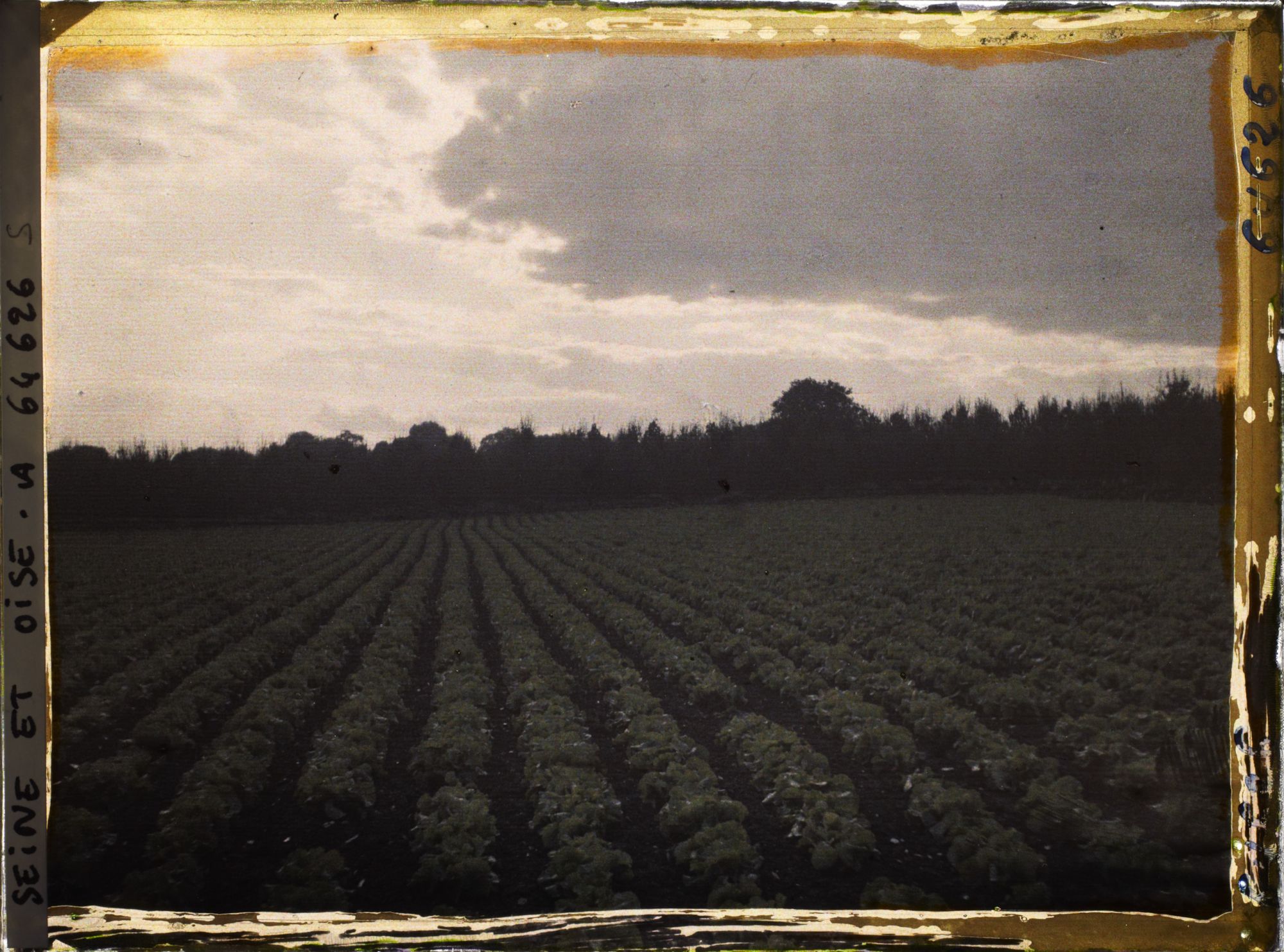 Image représentant Ile de France, Sarcelles St Brieuc, Effets du Soir sur Cultures