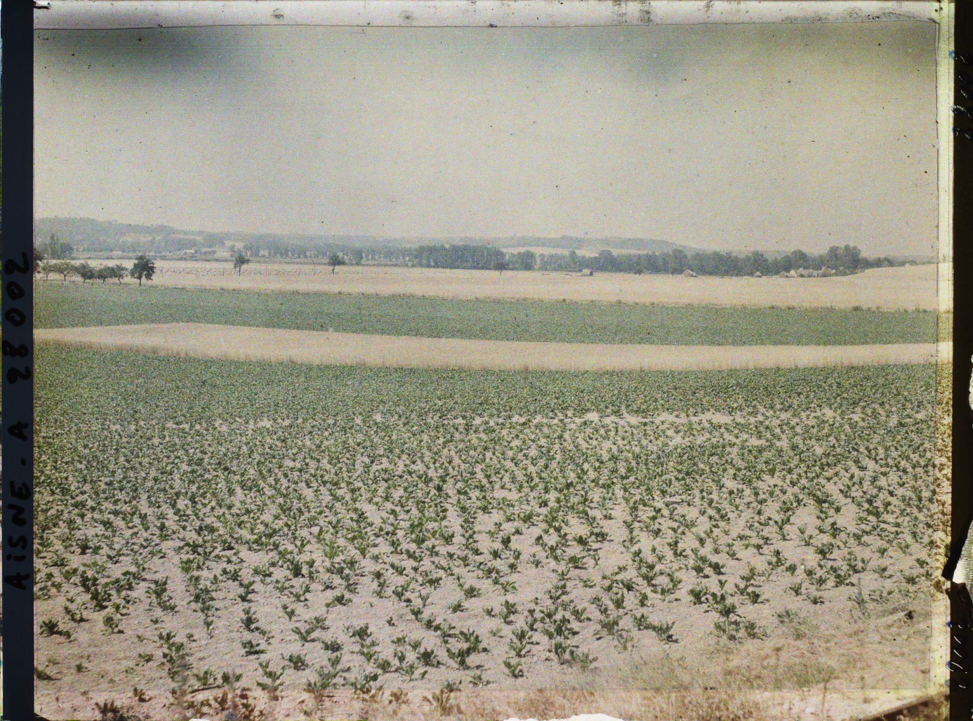 Image représentant France, Pasly, Aspect de la Campagne devant Pasly