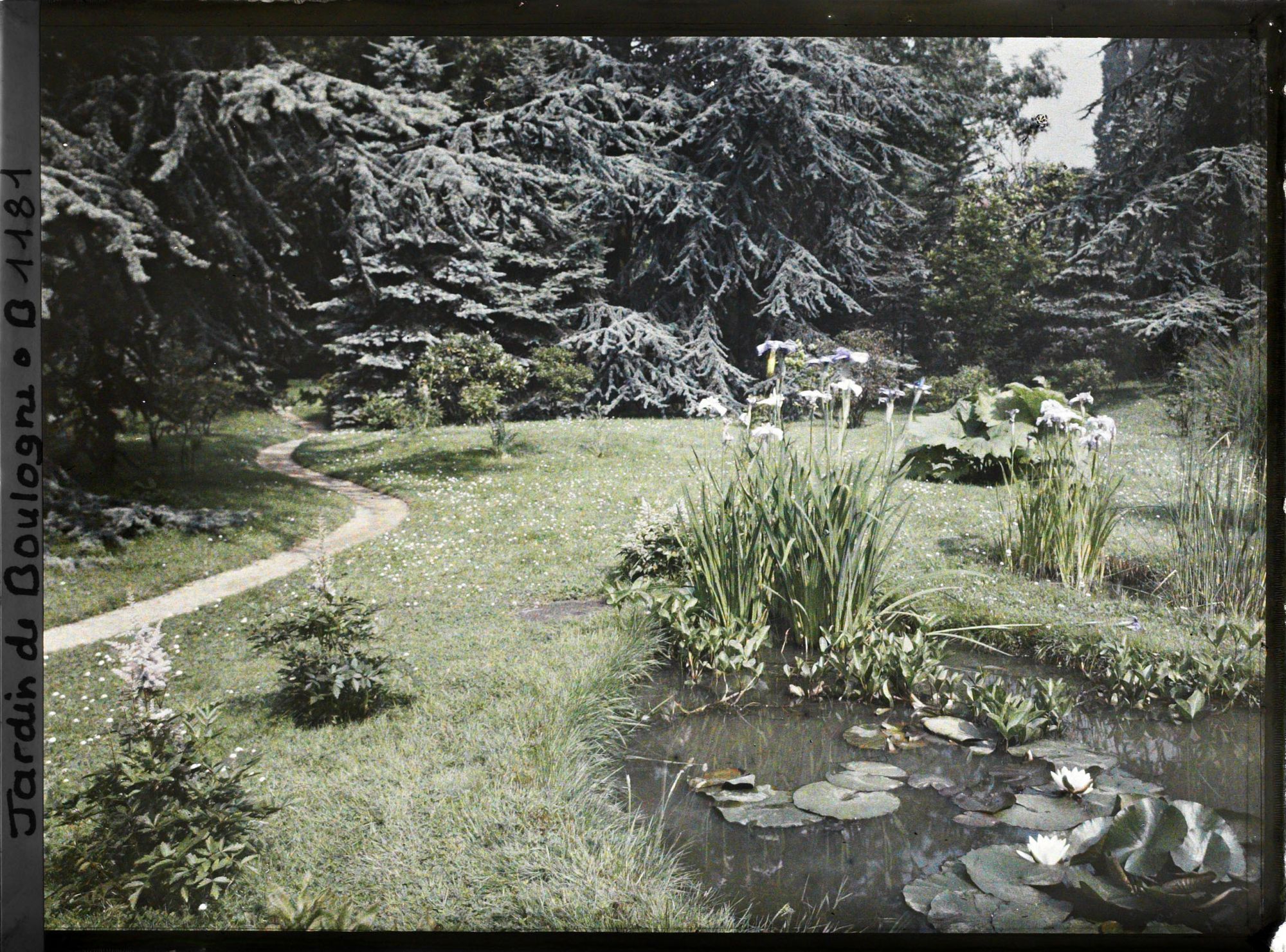 Image représentant Chemin serpentant en direction de l'ouest, à travers la pelouse qui jouxte le marais en fleurs