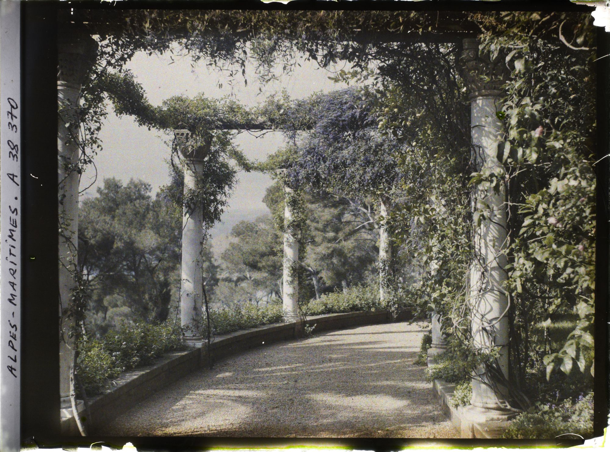 Image représentant Pergola du jardin de la villa Cypris