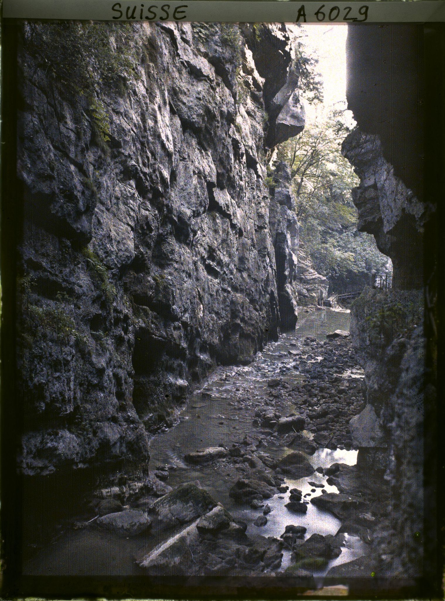 Image représentant Les gorges du Taubenloch