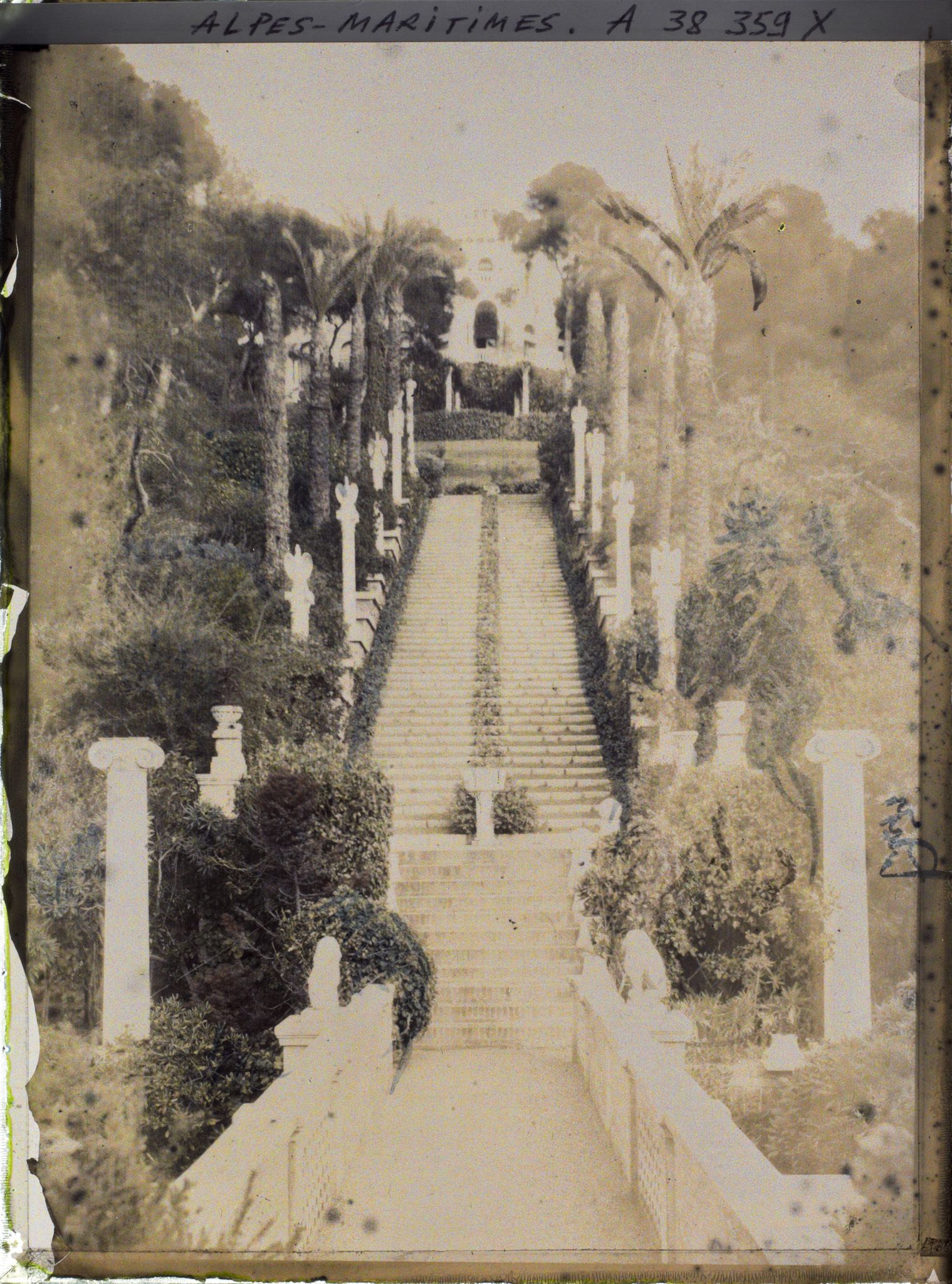 Image représentant Grand escalier du jardin de la villa Cypris, vu depuis la passerelle