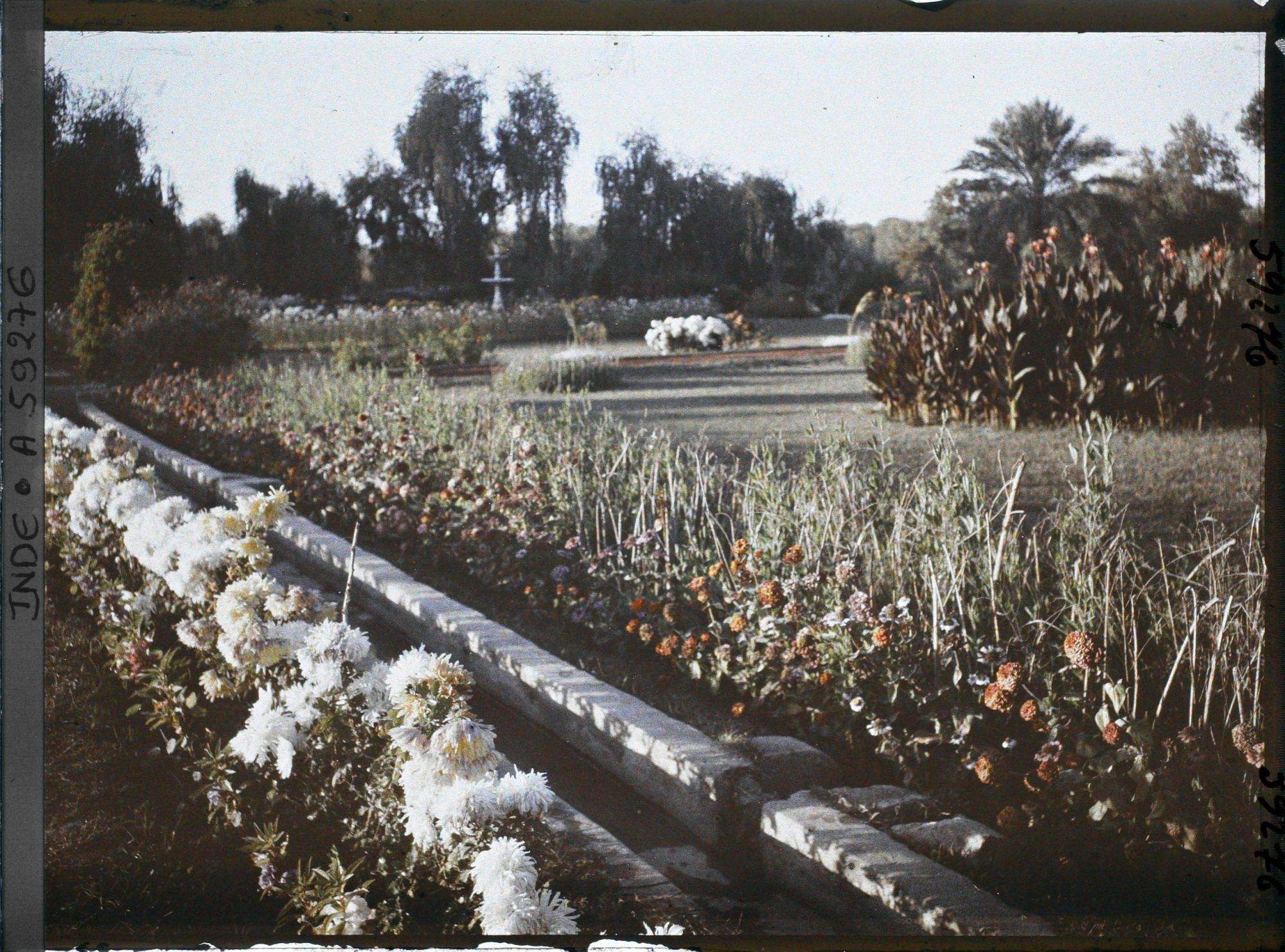 Image représentant Parc du palais Jagatjit