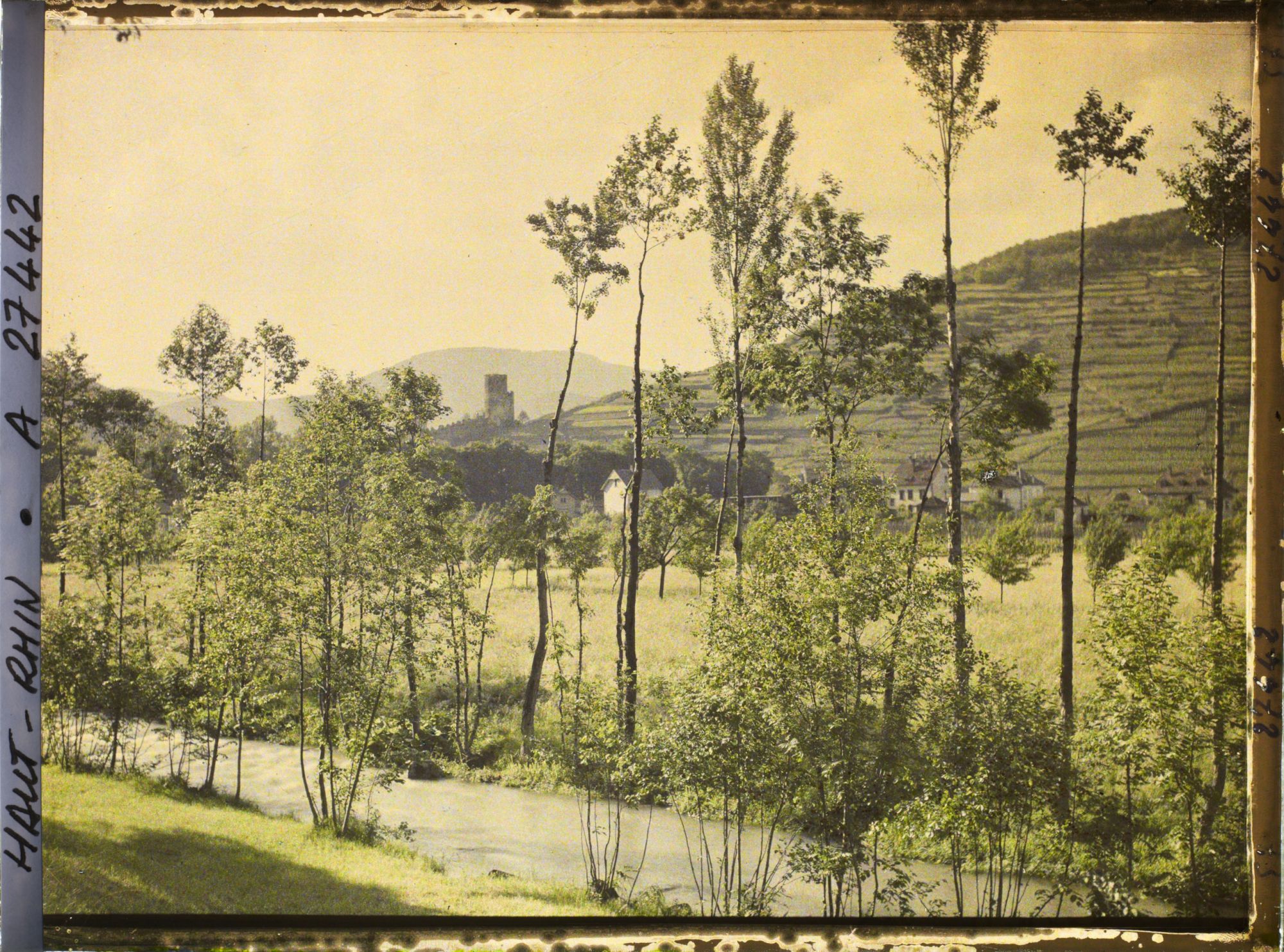 Image représentant France, Ammerschwihr, Les bords de la Veiss et le Château de Krysersberg, vue prise de la route de Ammerschwihr