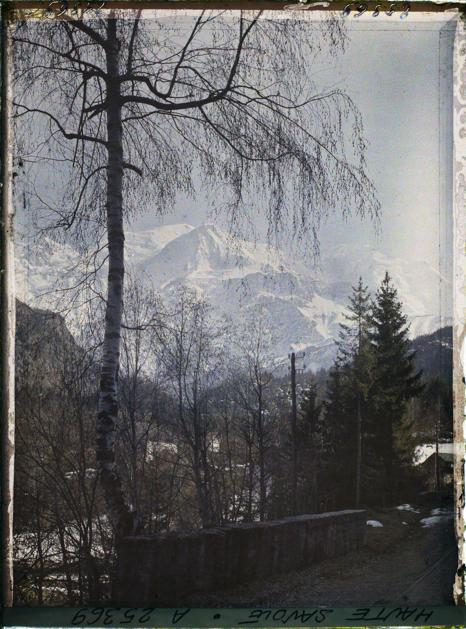 Image représentant France Les Alpes, Vallée de Chamonix ; Paysage Alpestre ; vu vers le Dôme et l'Aige du Gouter et l'Aige de Biomassay