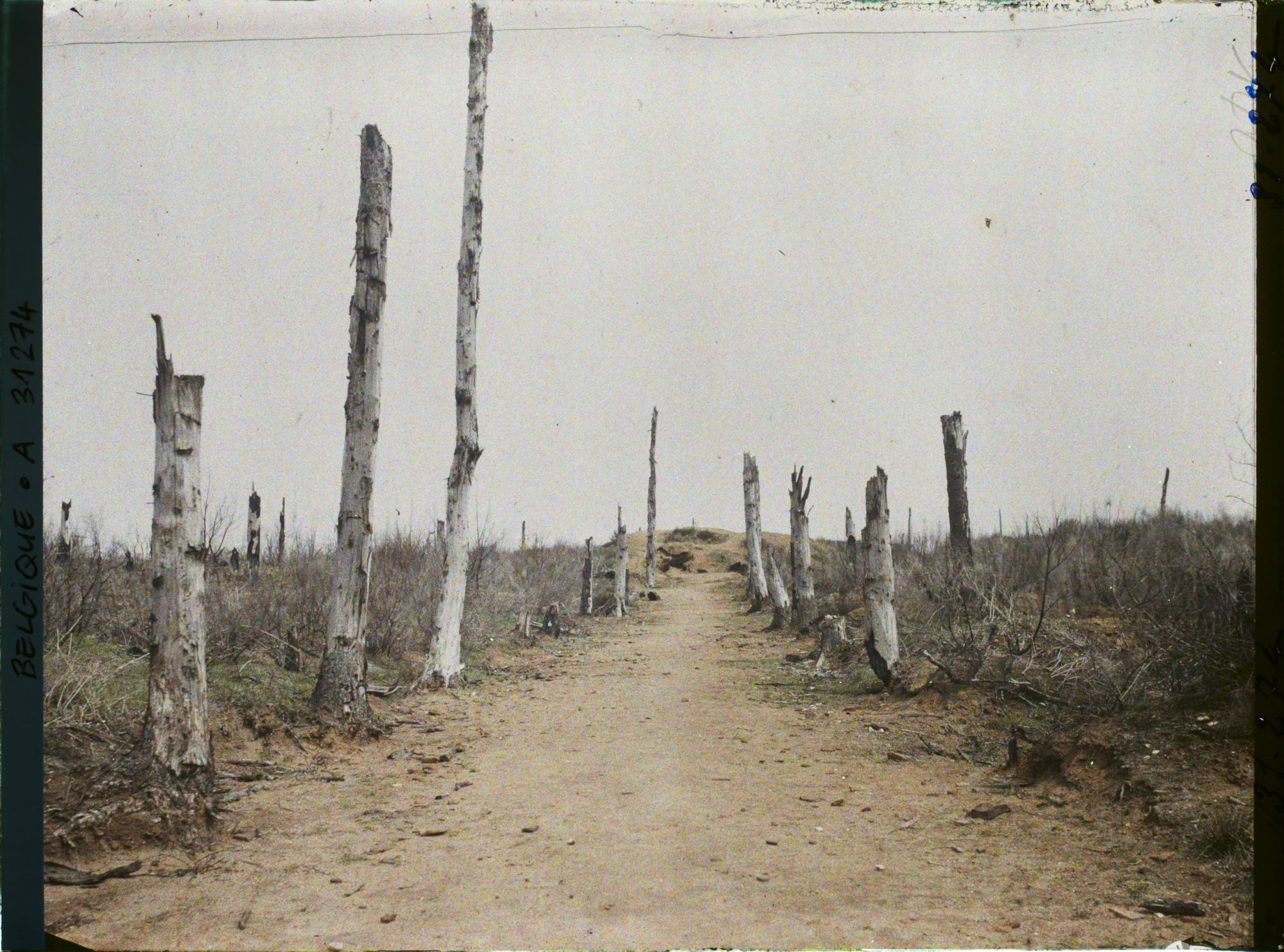 Image représentant Belgique, Kemmel, Le Chemin de Locre au Sommet du Kemmel