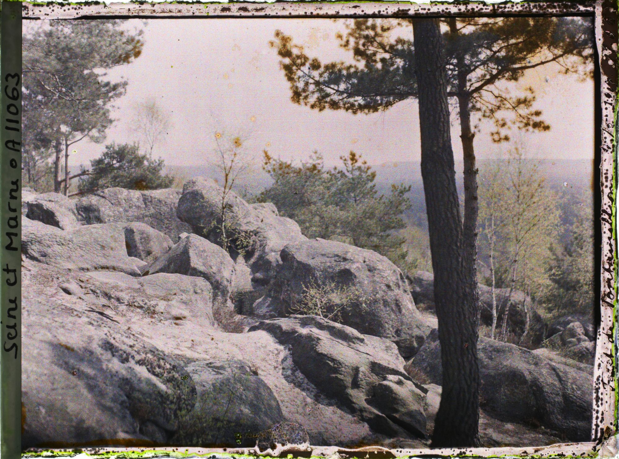 Image représentant France, Fontainebleau, Forêt de Fontainebleau