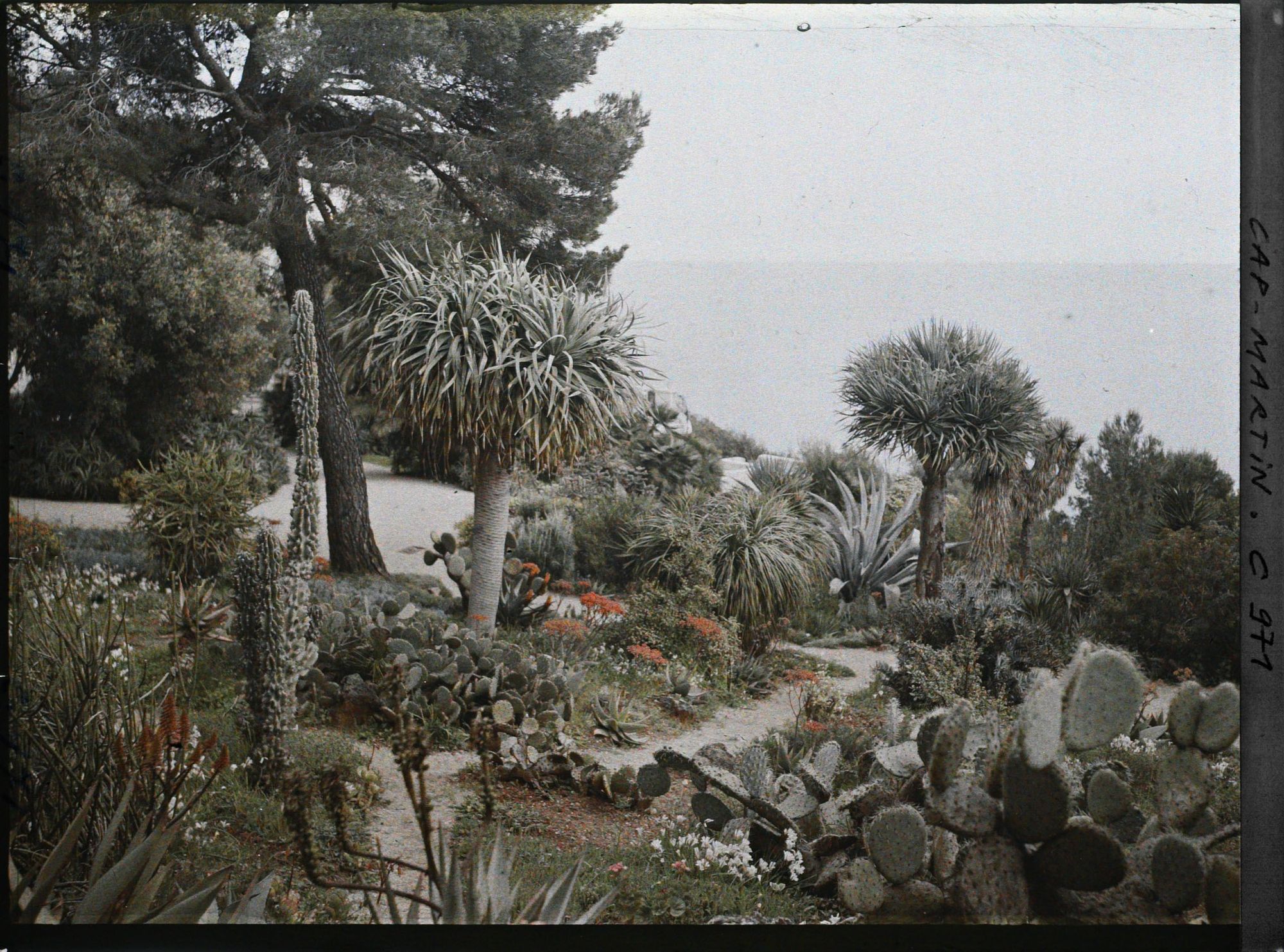 Image représentant Le Jardin vue vers la Mer