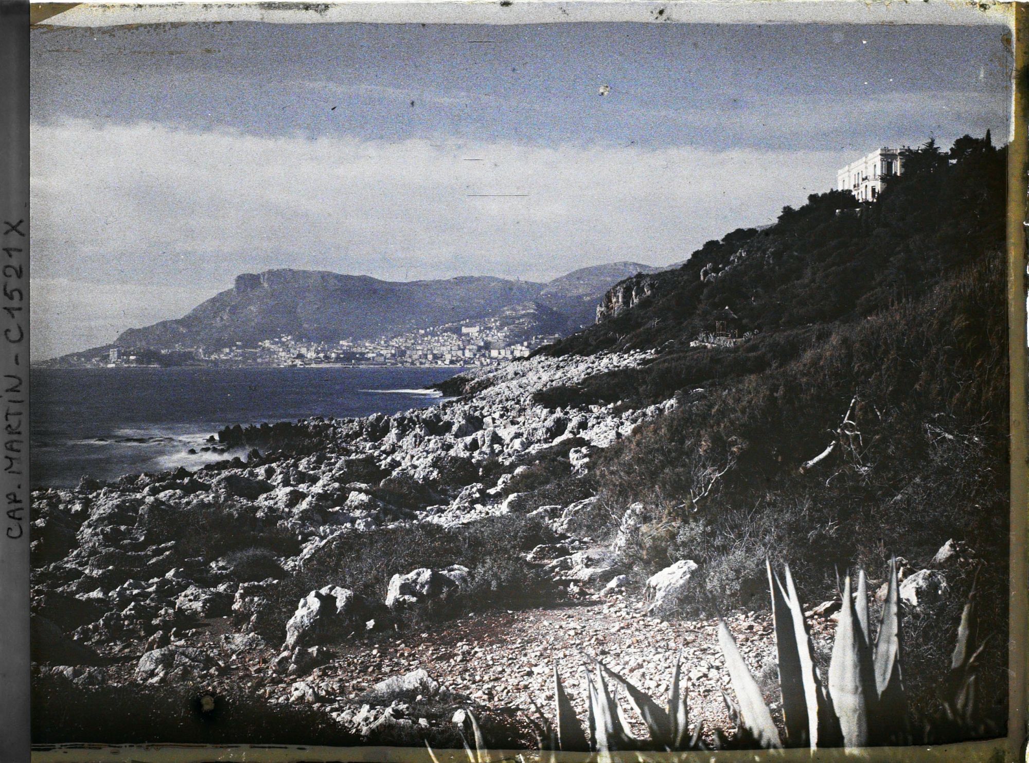 Image représentant Agaves sur le rivage du cap dominé par la villa Kahn, encore appelée villa Zamir