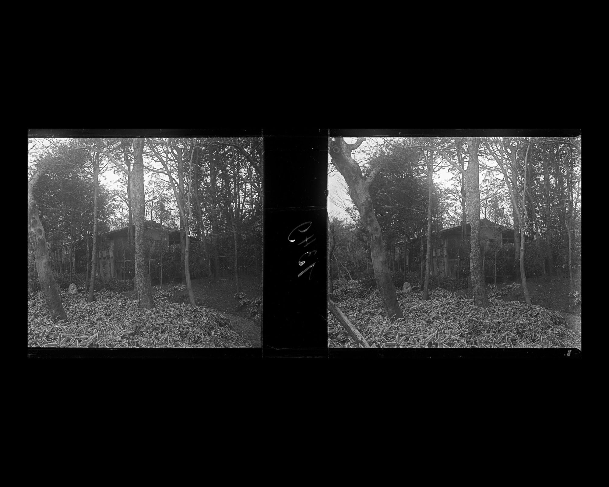 Image représentant Une cabane de thé dans le jardin de M. Matsuda