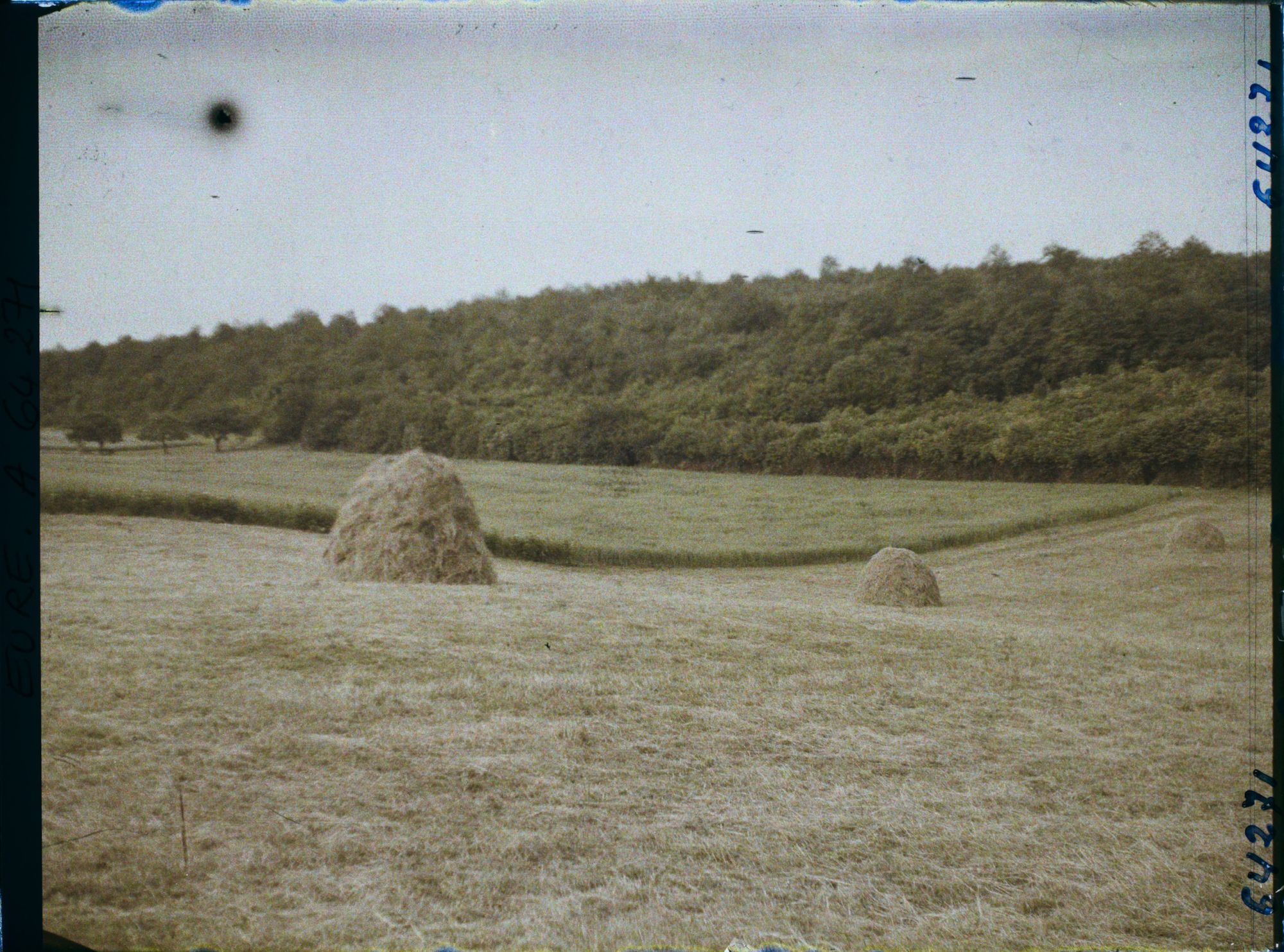 Image représentant Prairie, blé et bois