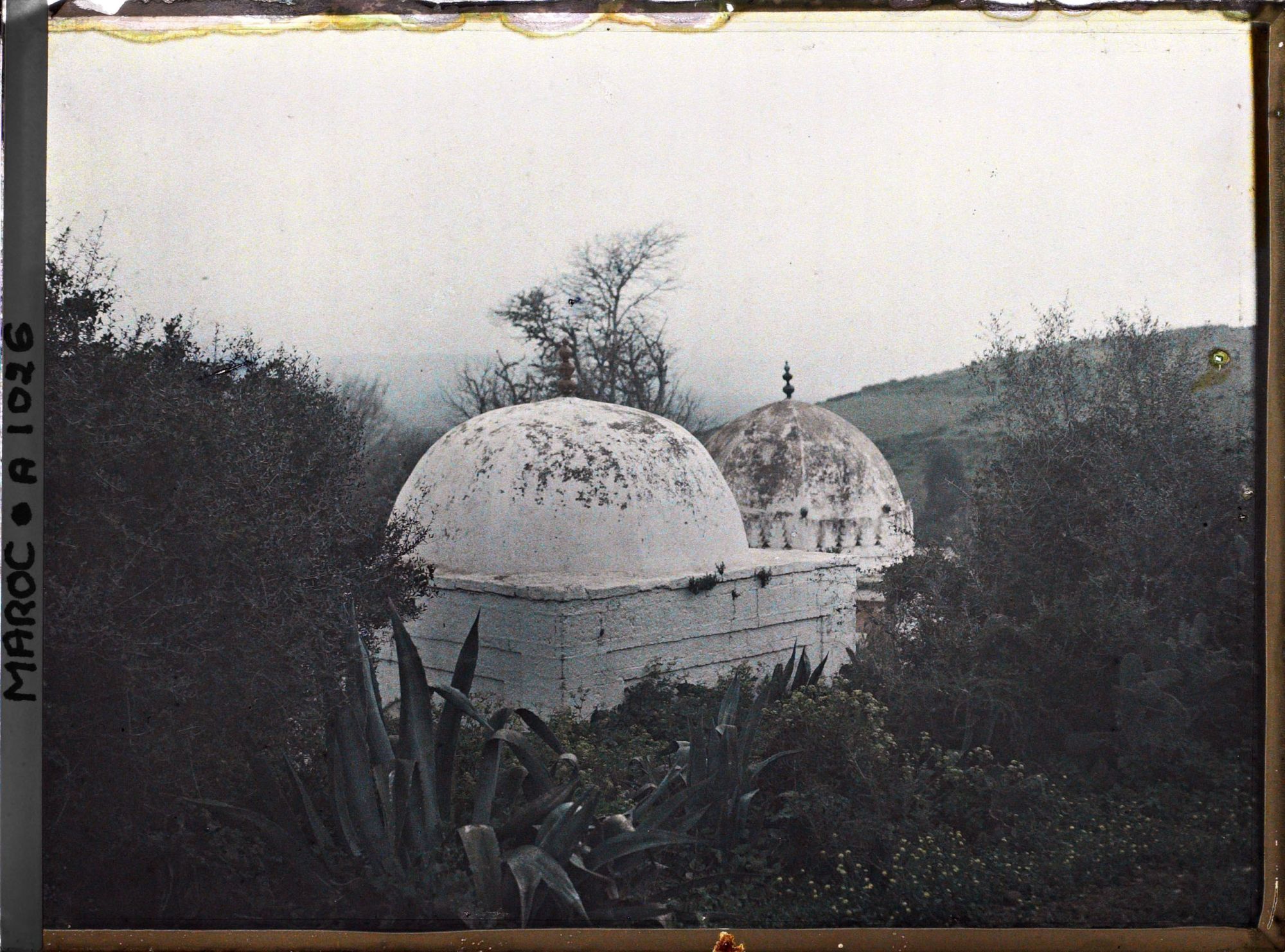 Image représentant Koubba du Chellah