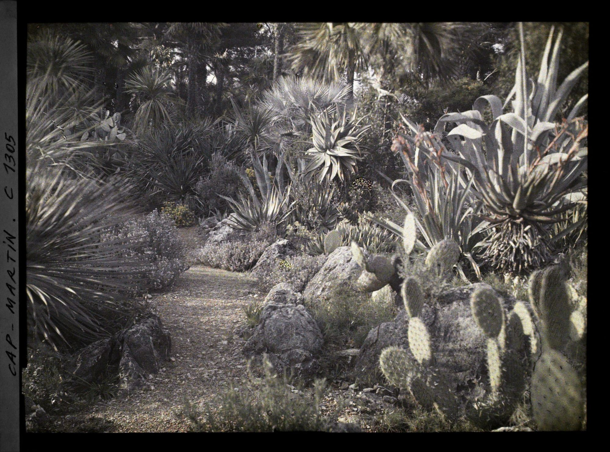 Image représentant Le Jardin