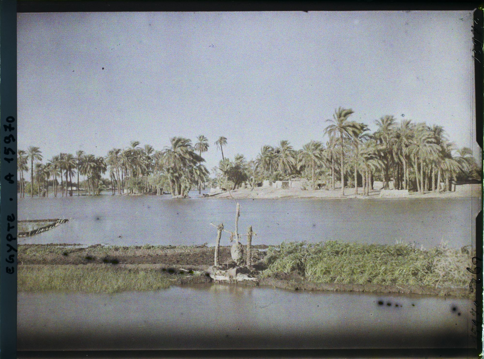 Image représentant Crue du Nil près de Louqsor