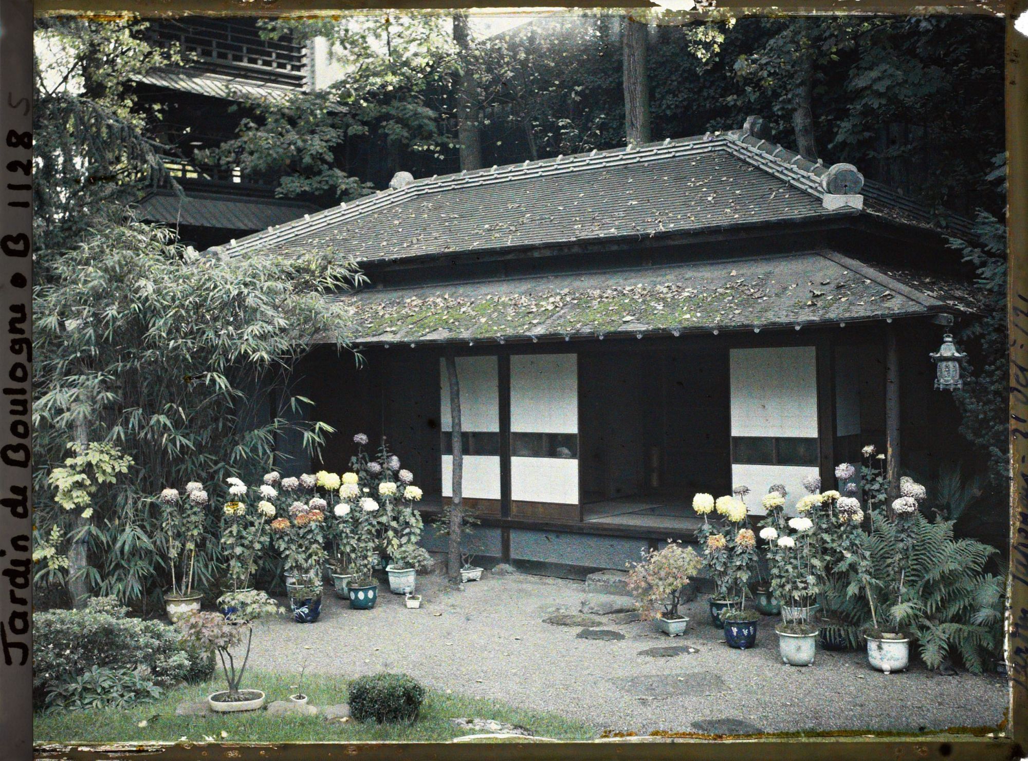 Image représentant Maison est du " village japonais ", ornée de chrysanthèmes en pots fleuris et de bonsaïs