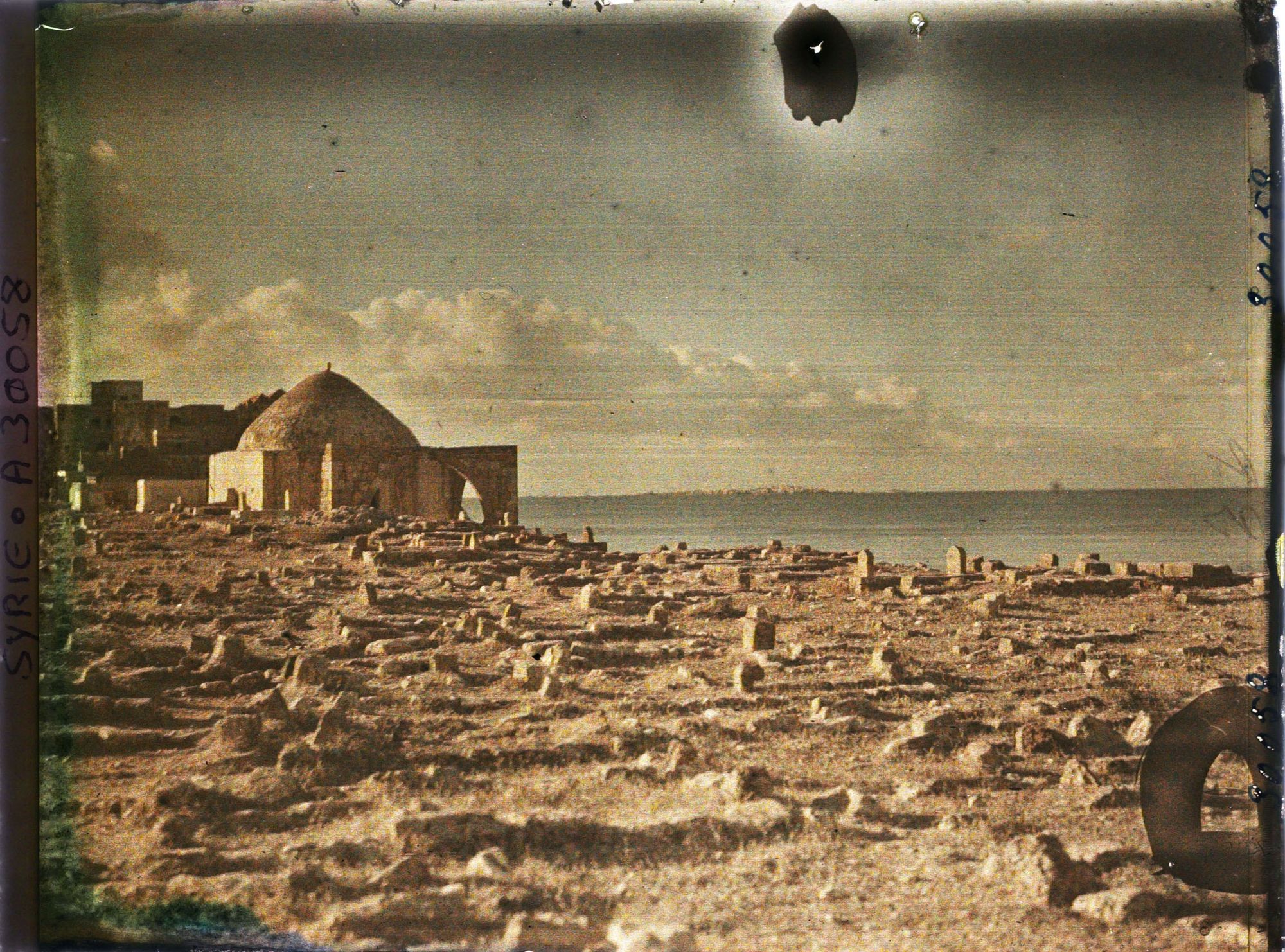 Image représentant Cimetière en bord de mer