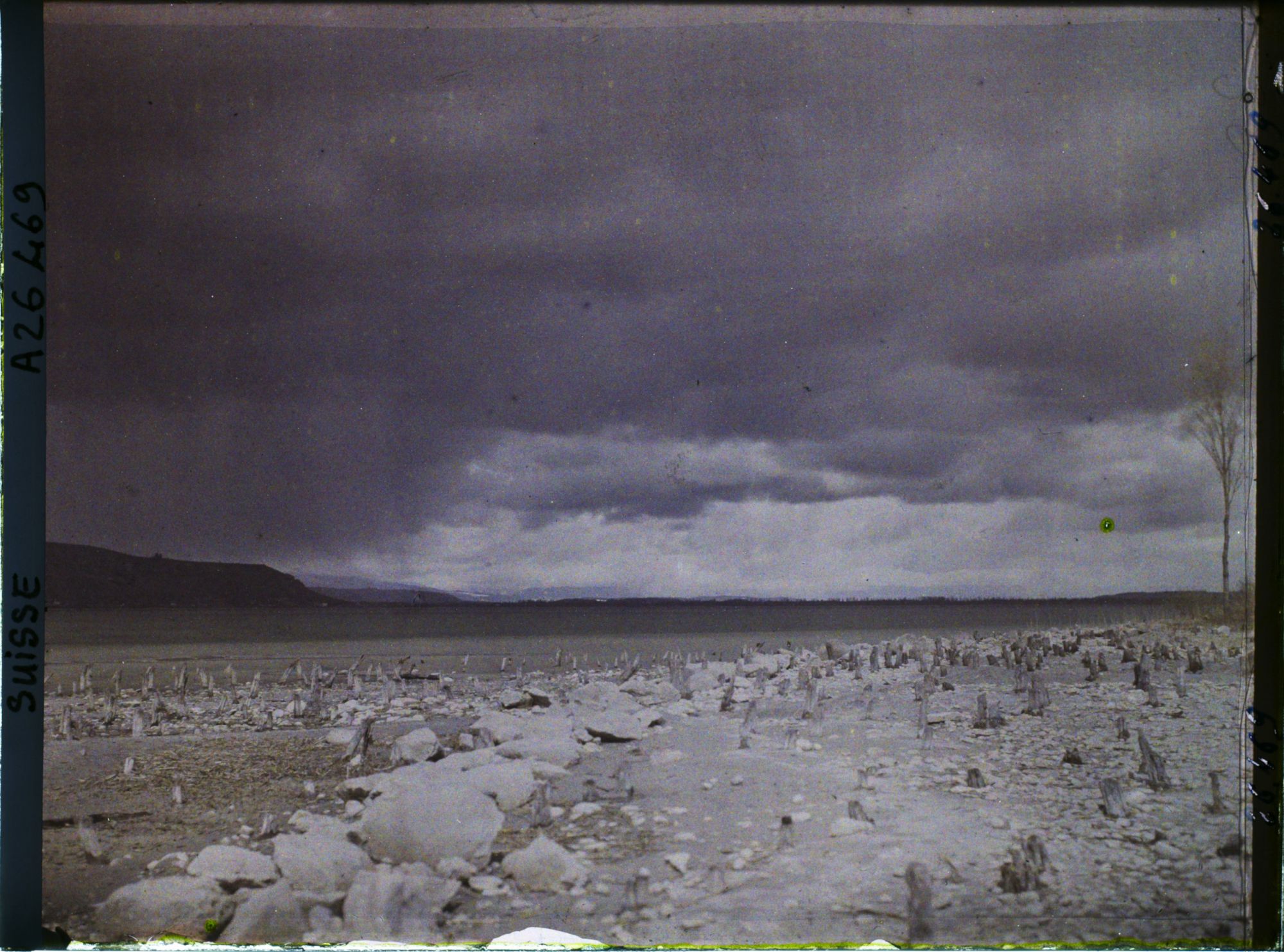 Image représentant Site palafittique préhistorique des Alpes, pieux en bois visibles lors de la baisse des eaux après la grande sécheresse de 1921