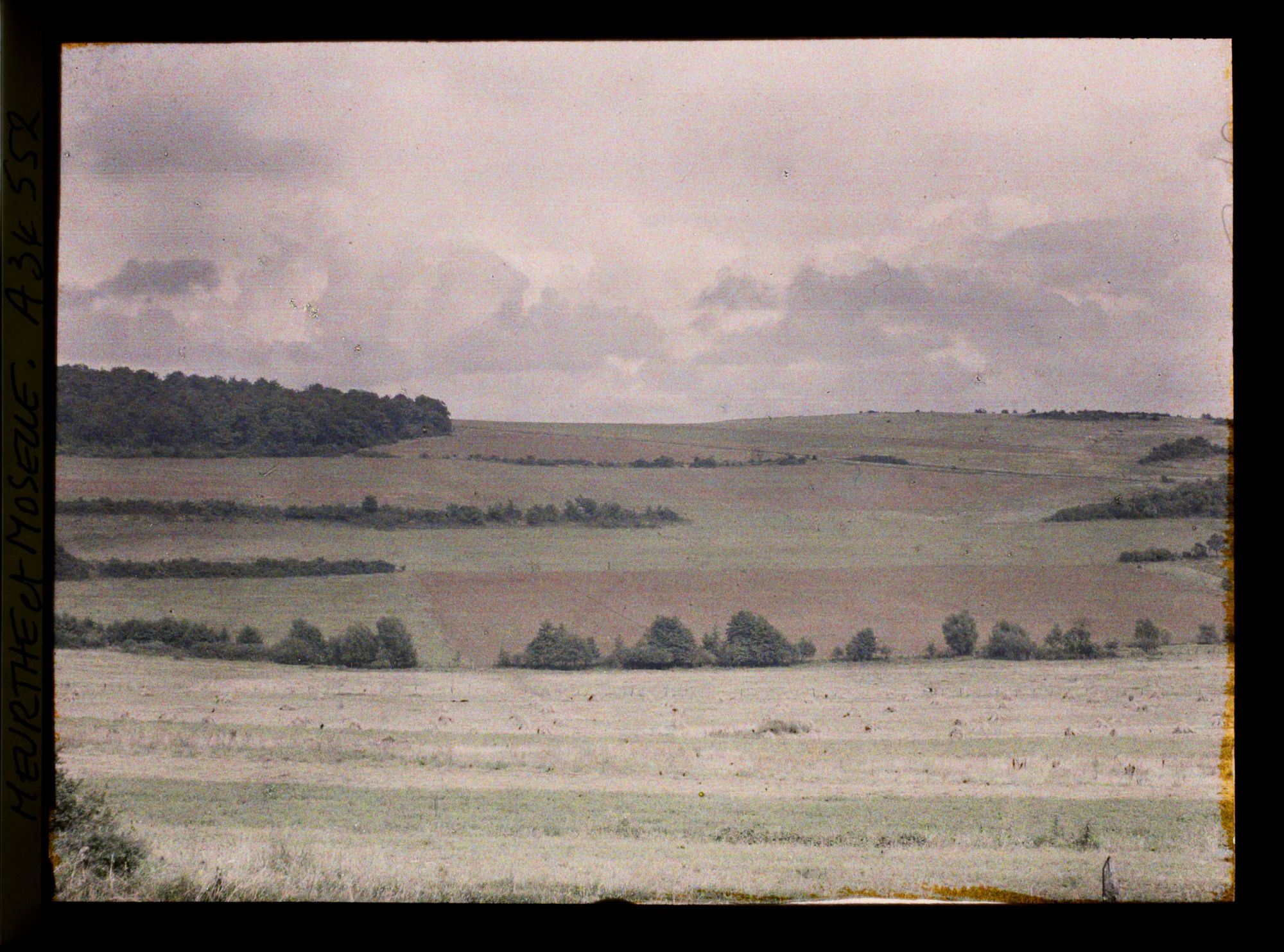 Image représentant France, Bois le Prêtre, Lisière est du Bois Le Prêtre et sol remis en Culture