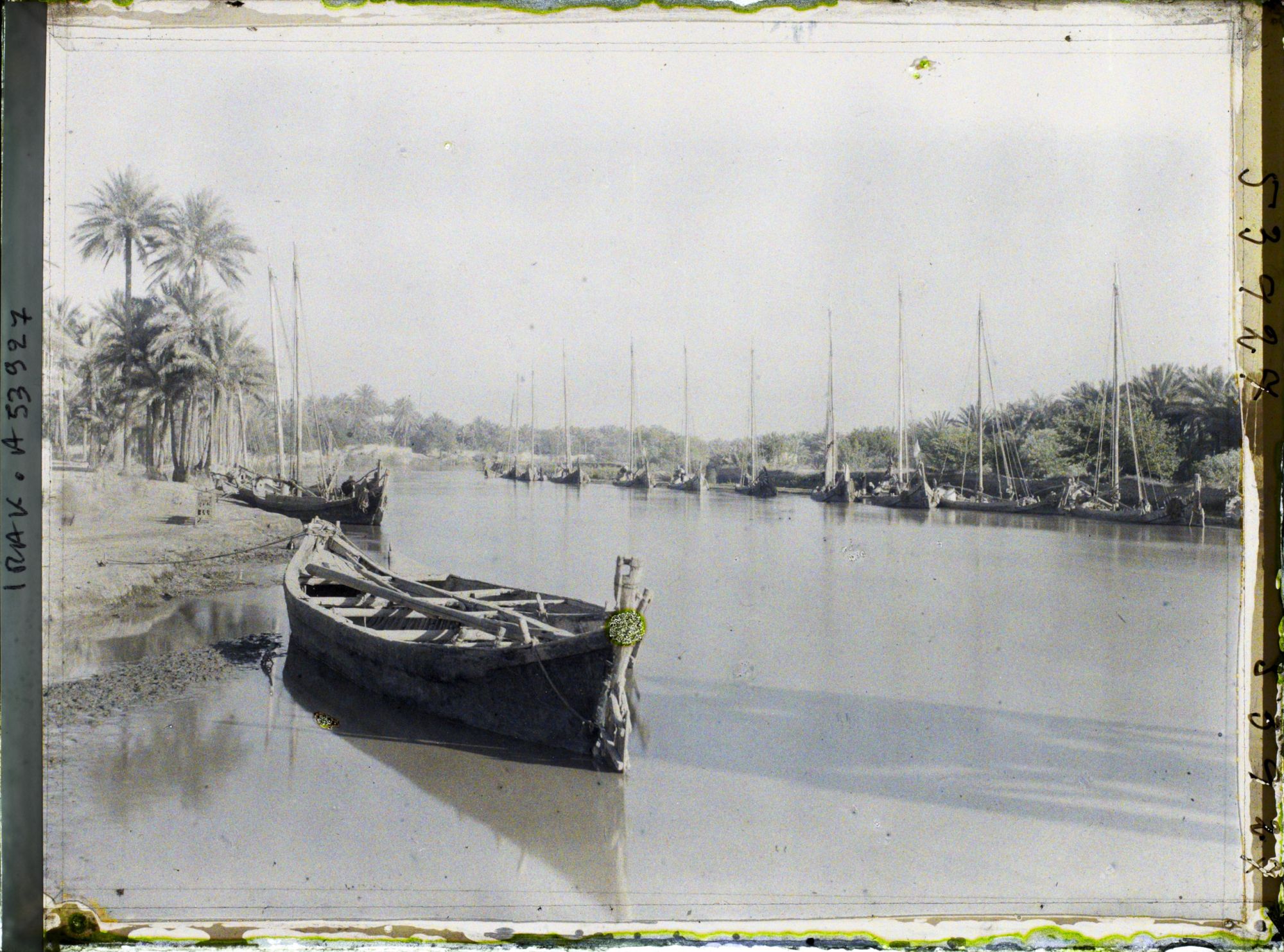 Image représentant Rives du Chatt Al-Hillah, l'une des branches de l'Euphrate