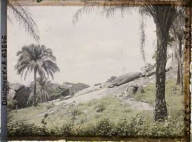Image représentant Piège à panthère dans une palmeraie en montagne