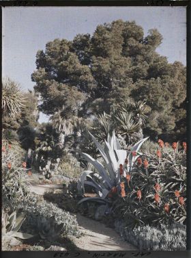 Image représentant Cap Martin Le Jardin