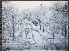 Image représentant Parterre de rosiers et allée enneigée menant à la forêt bleue, dans la partie est du verger-roseraie