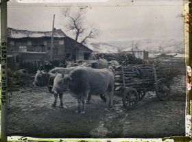 Image représentant Attelages du pays de Bozüyük