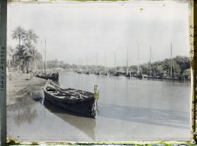 Image représentant Rives du Chatt Al-Hillah, l'une des branches de l'Euphrate