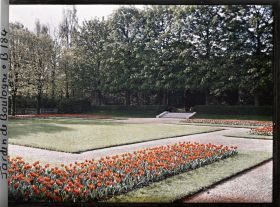 Image représentant Le jardin français vu depuis l'angle du parterre nord-ouest