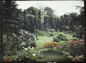 Image représentant Azalées et rhodos vers le marais