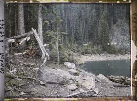 Image représentant Canada, Lac Louise, Une vue s/ le lac à travers les arbres